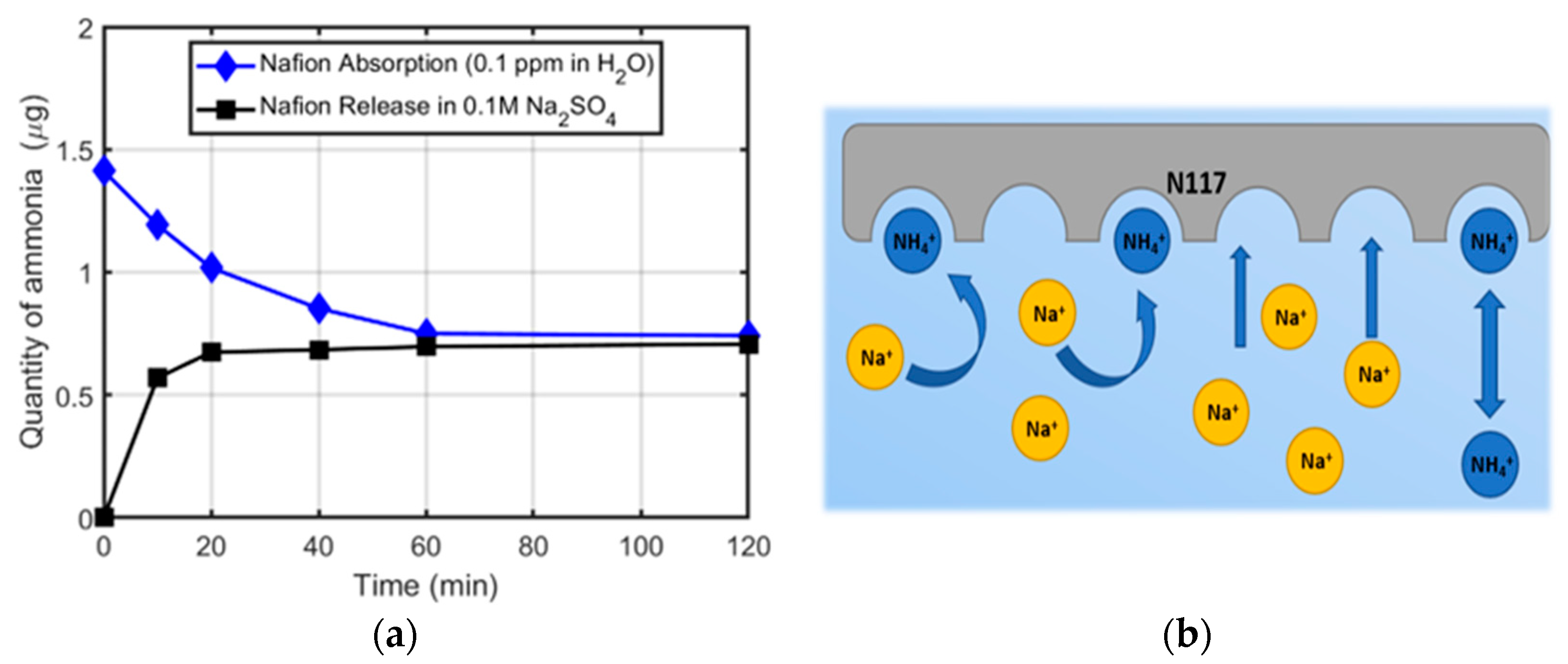 Membranes 12 00969 g003