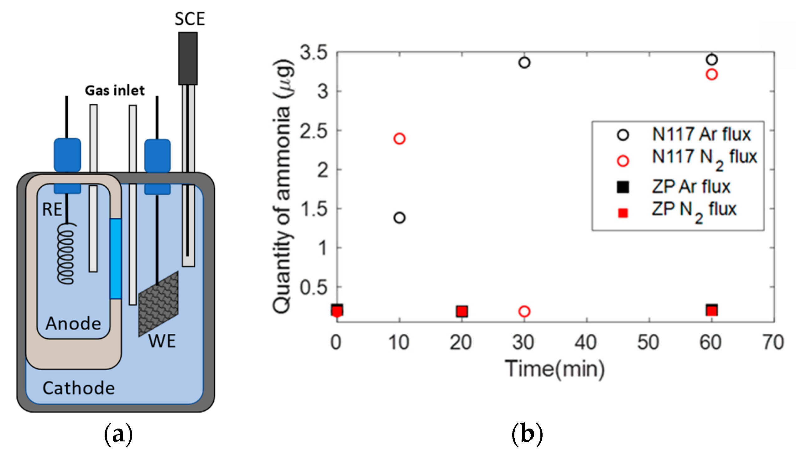 Membranes 12 00969 g005