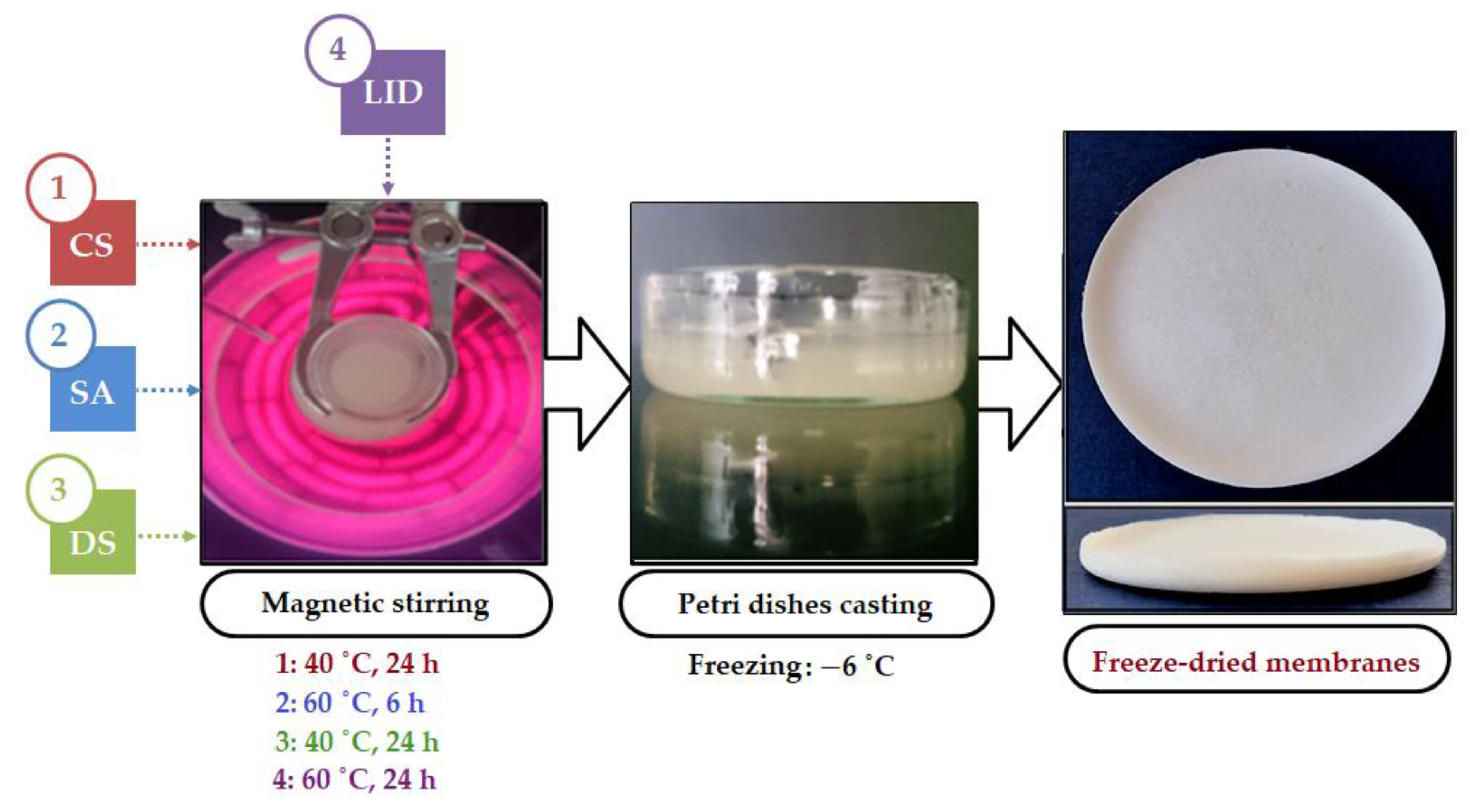 Membranes 12 00973 g001 Membranes 12 00973 g001