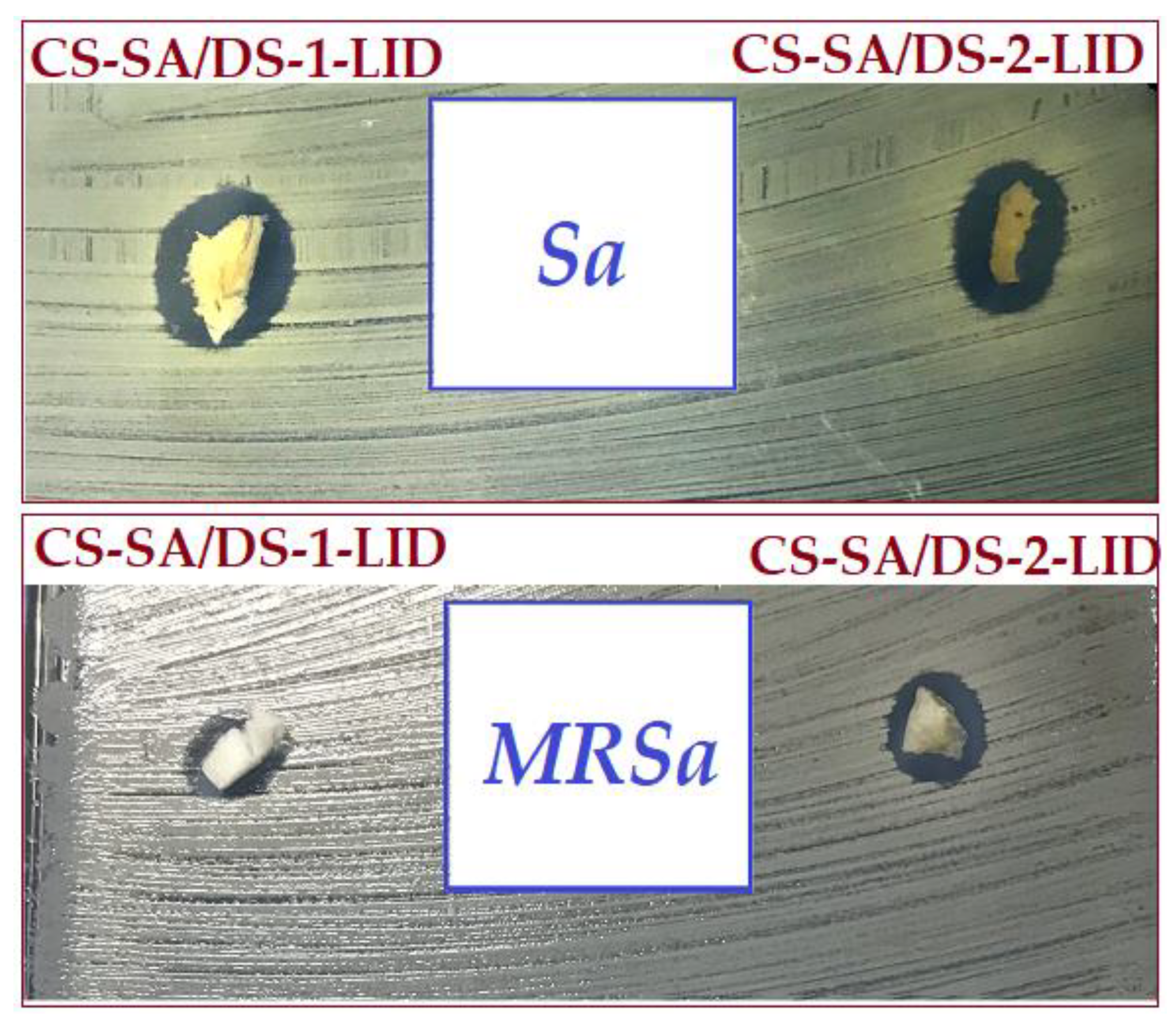 Membranes 12 00973 g008 Membranes 12 00973 g008