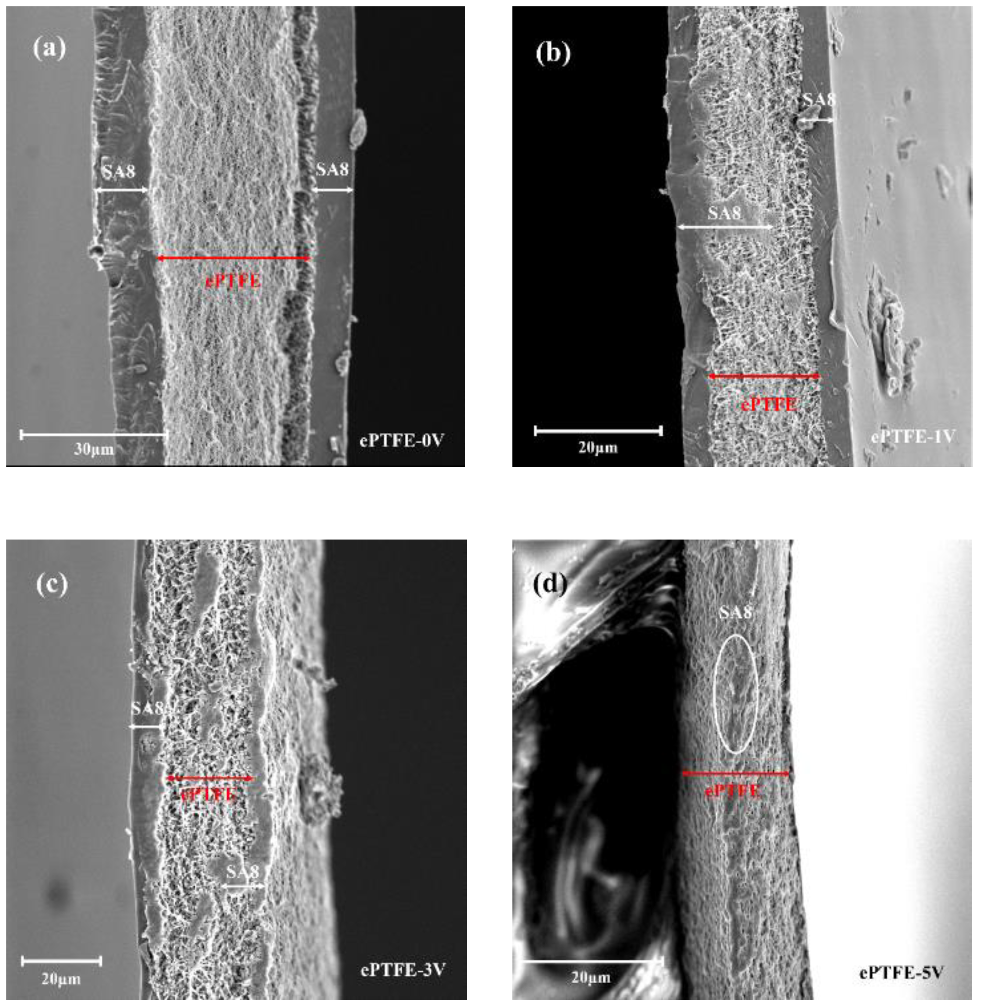 Membranes 12 00974 g004 Membranes 12 00974 g004