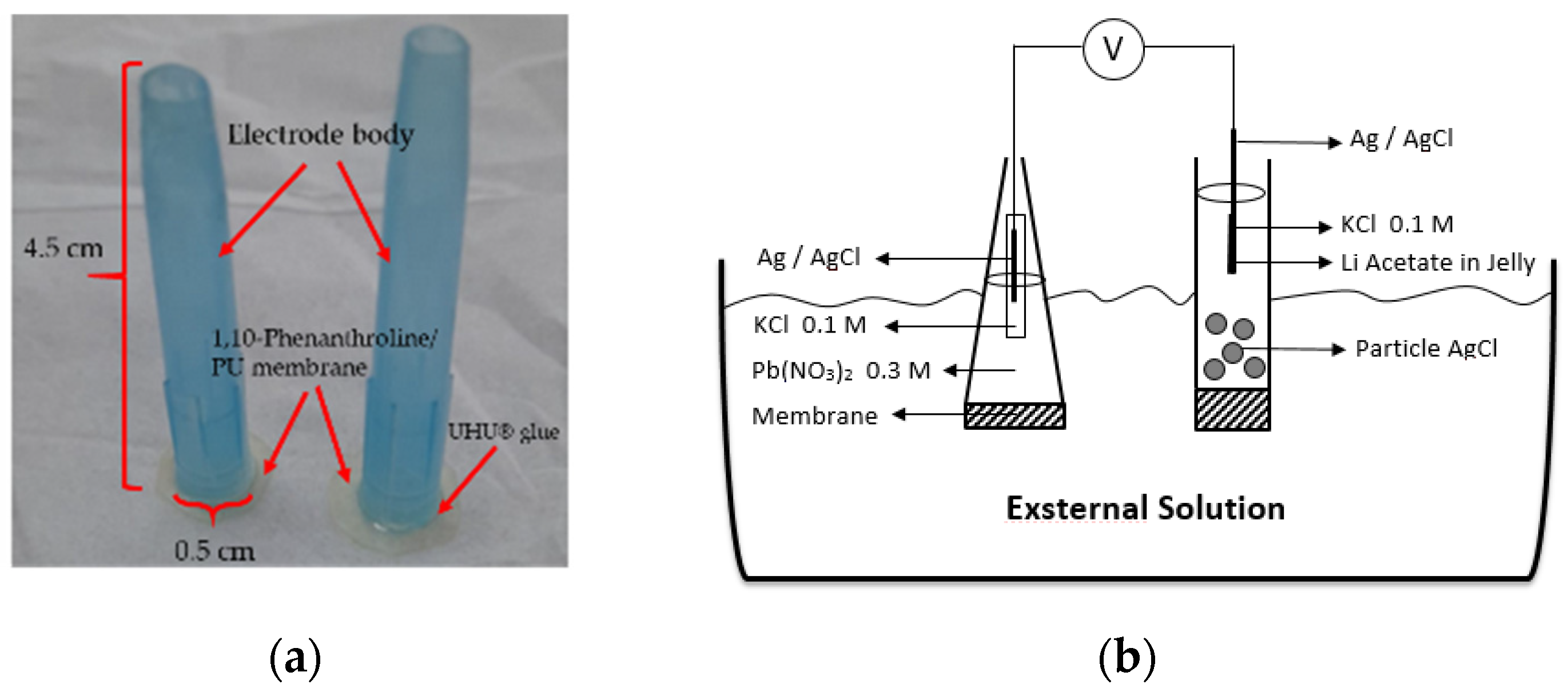 Membranes 12 00987 g001 Membranes 12 00987 g001