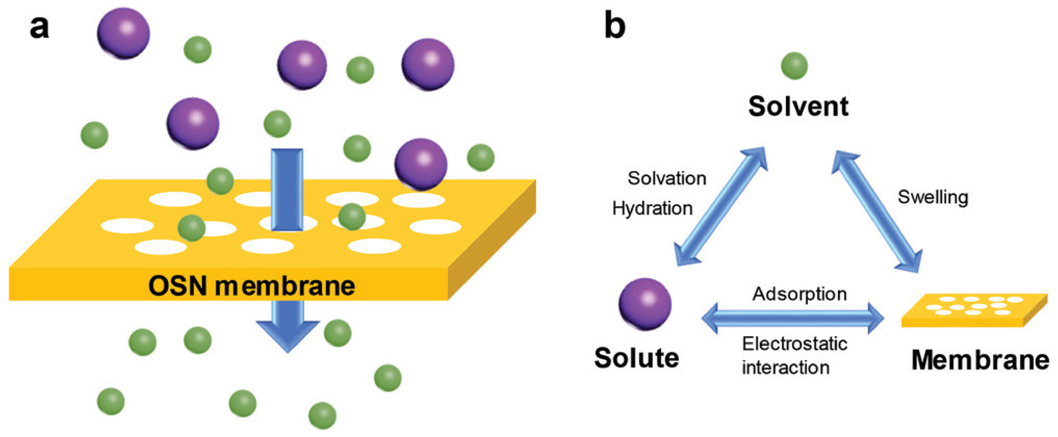 Membranes 12 00995 g002