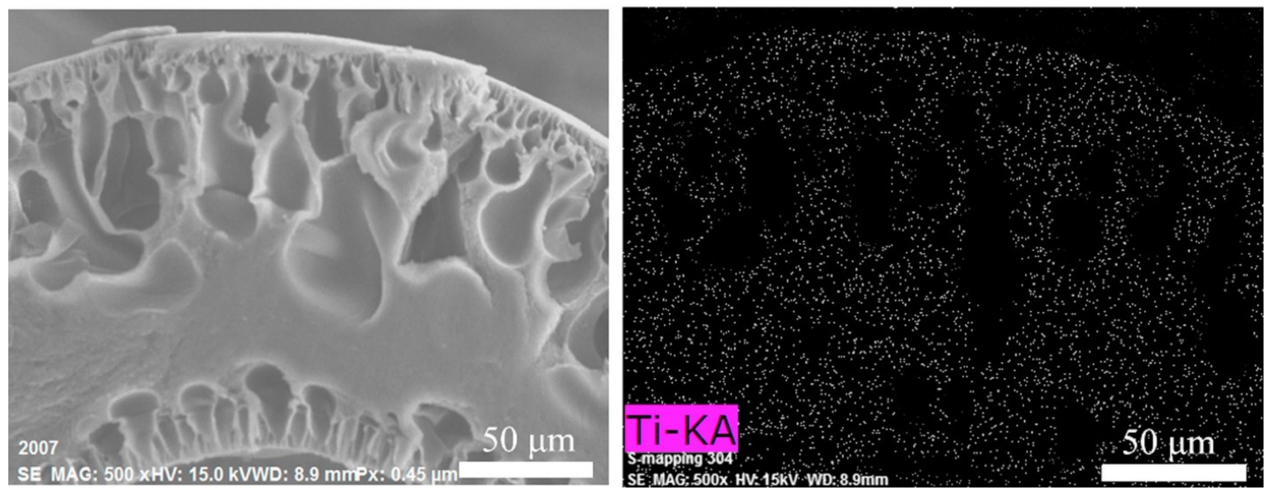 Membranes 12 00995 g006