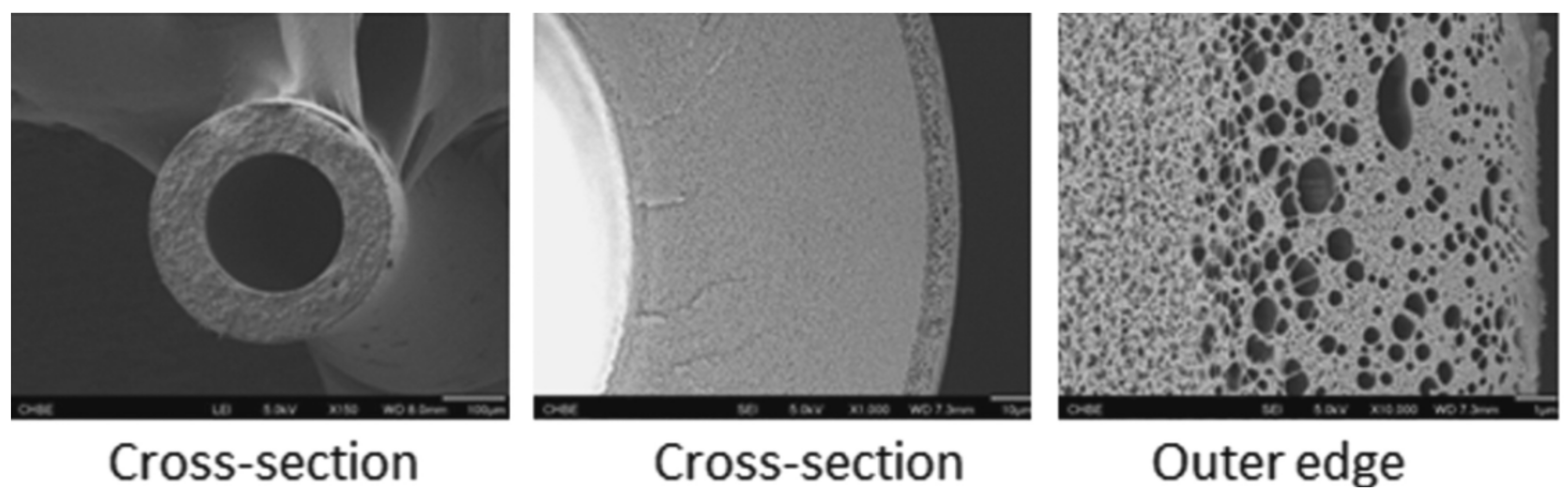 Membranes 12 00995 g009
