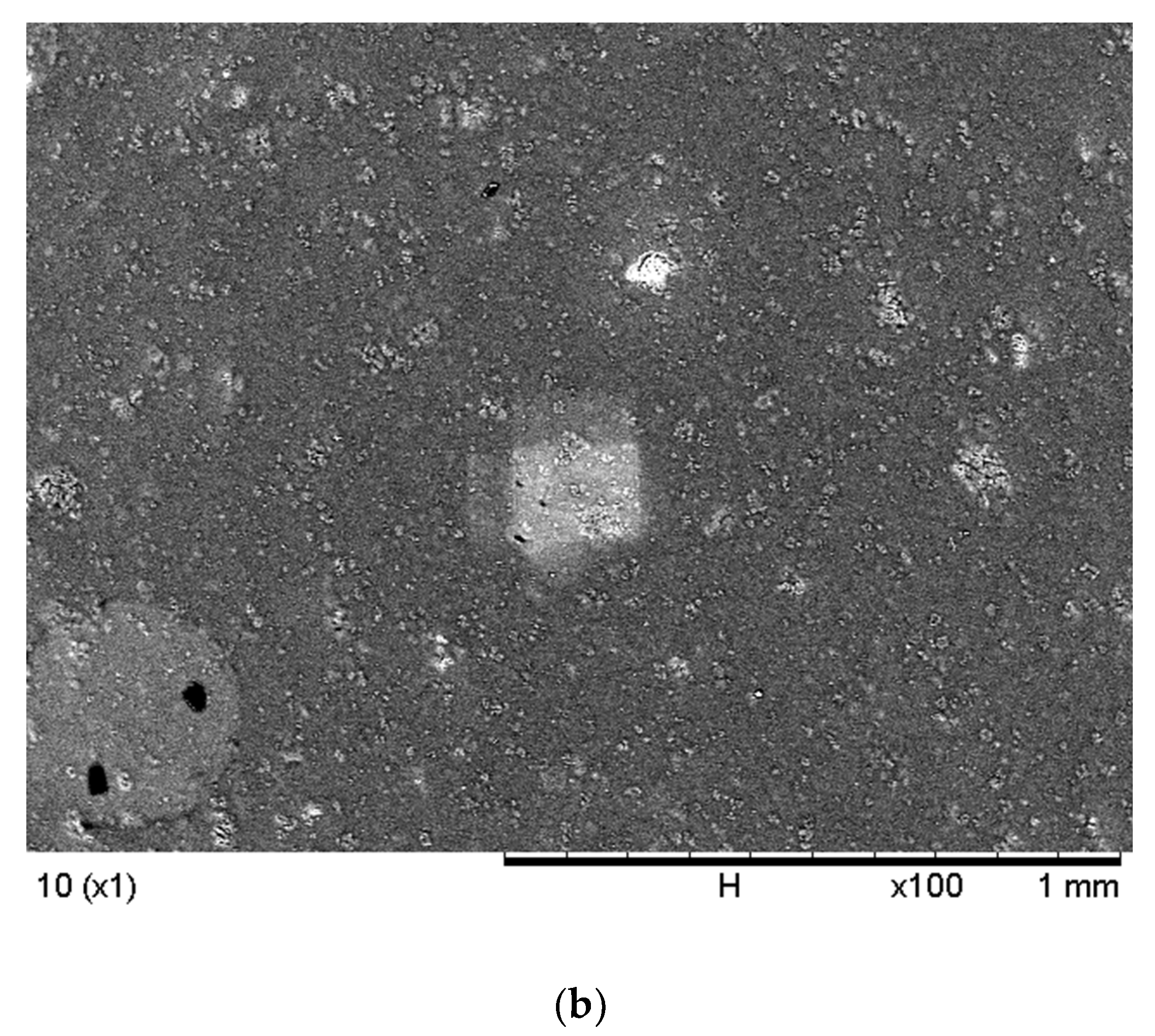 Membranes 12 01020 g002b Membranes 12 01020 g002b