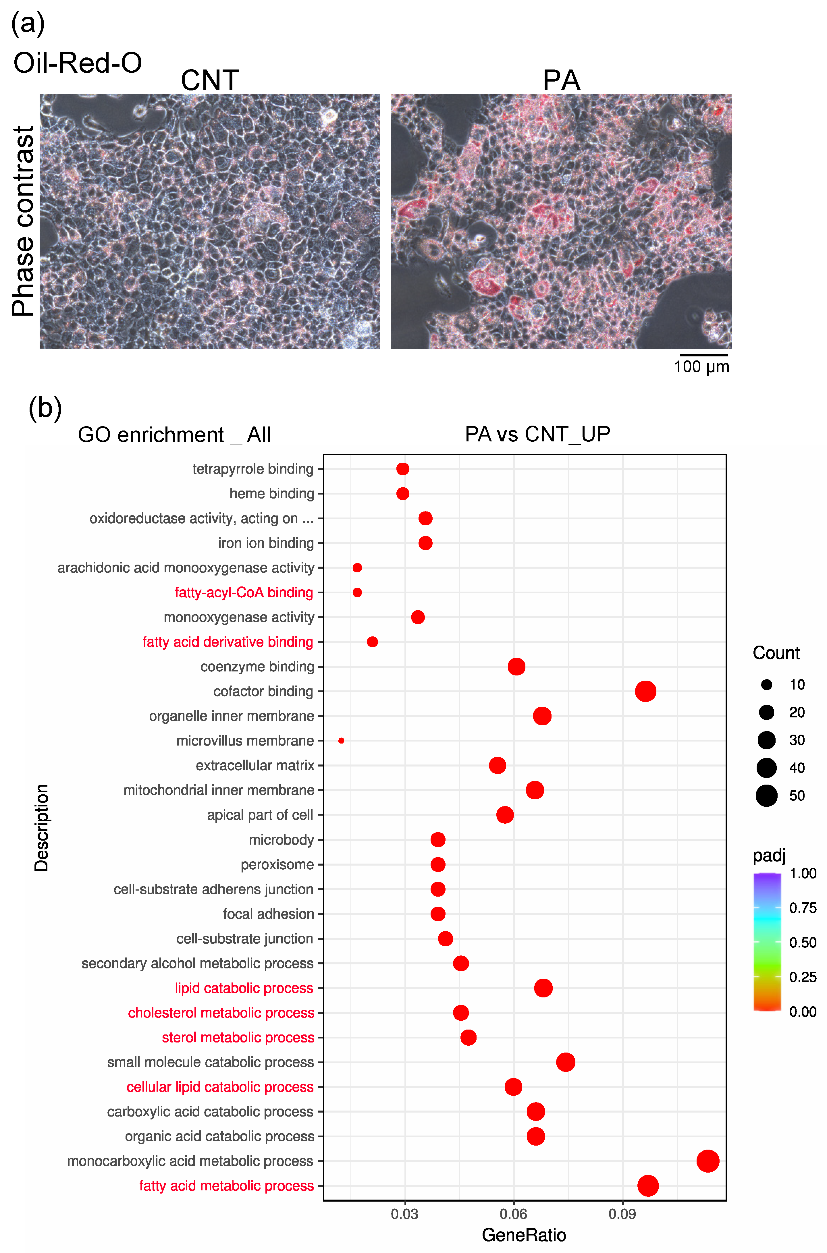 Membranes 12 01023 g002 Membranes 12 01023 g002