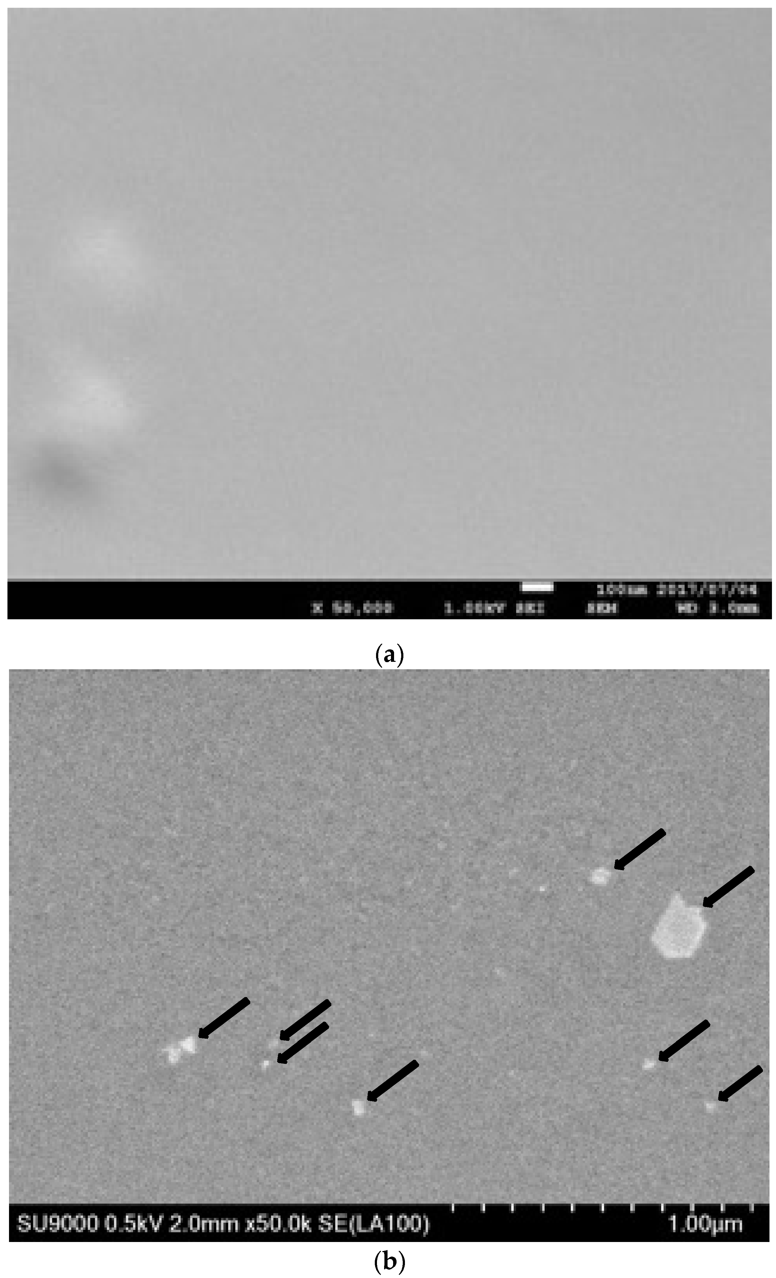 Membranes 12 01049 g002 Membranes 12 01049 g002