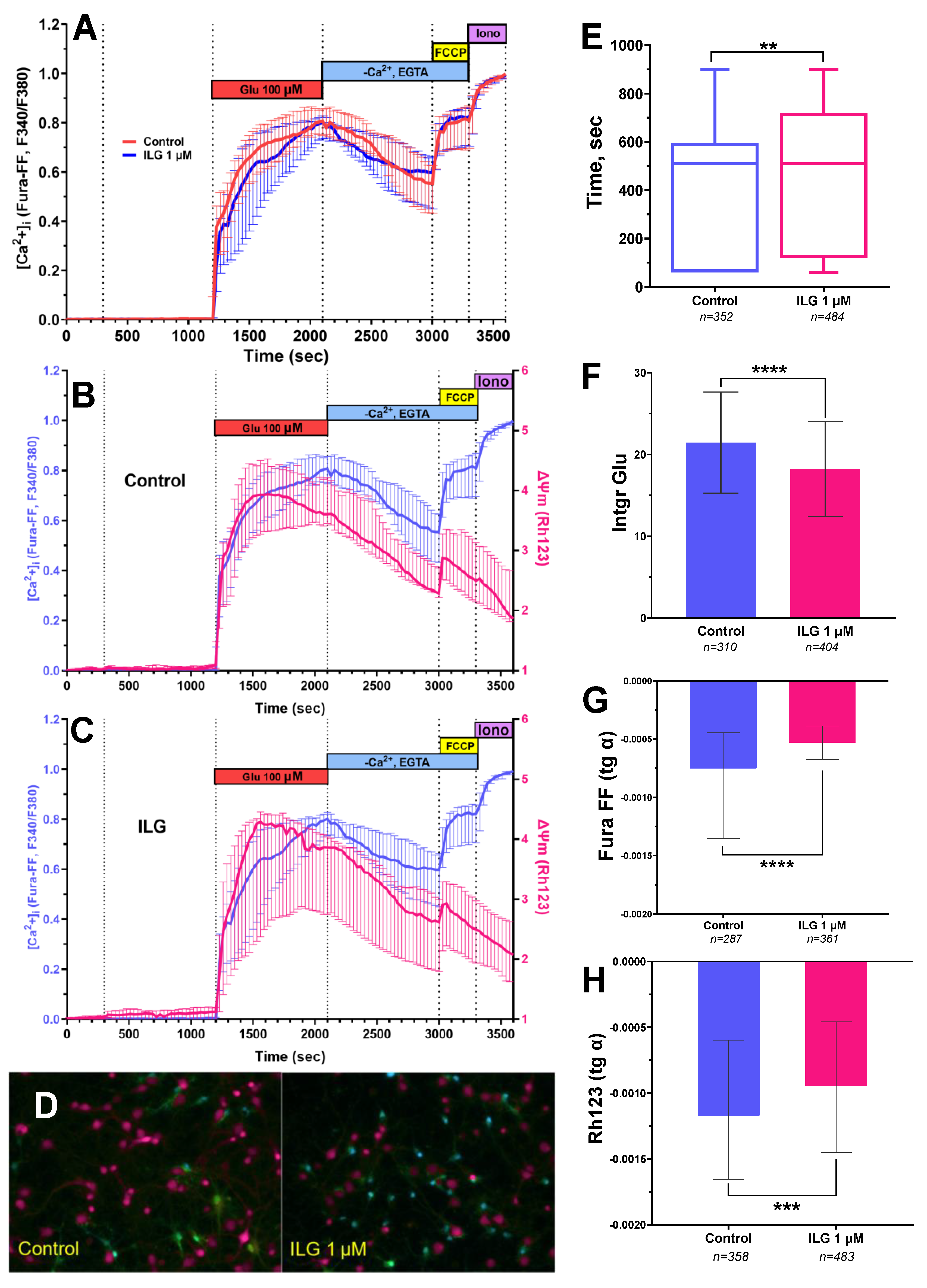 Membranes 12 01052 g002