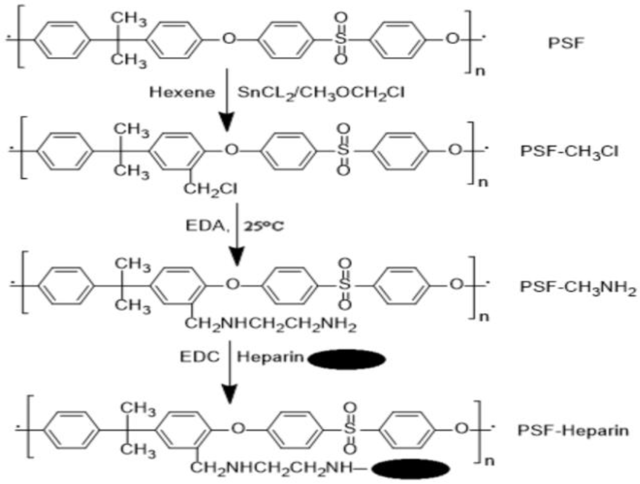 Membranes | Free Full-Text | Impact Of Membrane Modification And ...