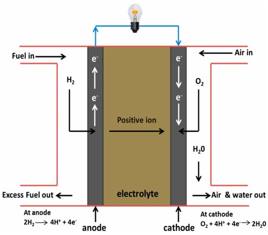 CIC -Salt Water Fuel Cell Spider Kit