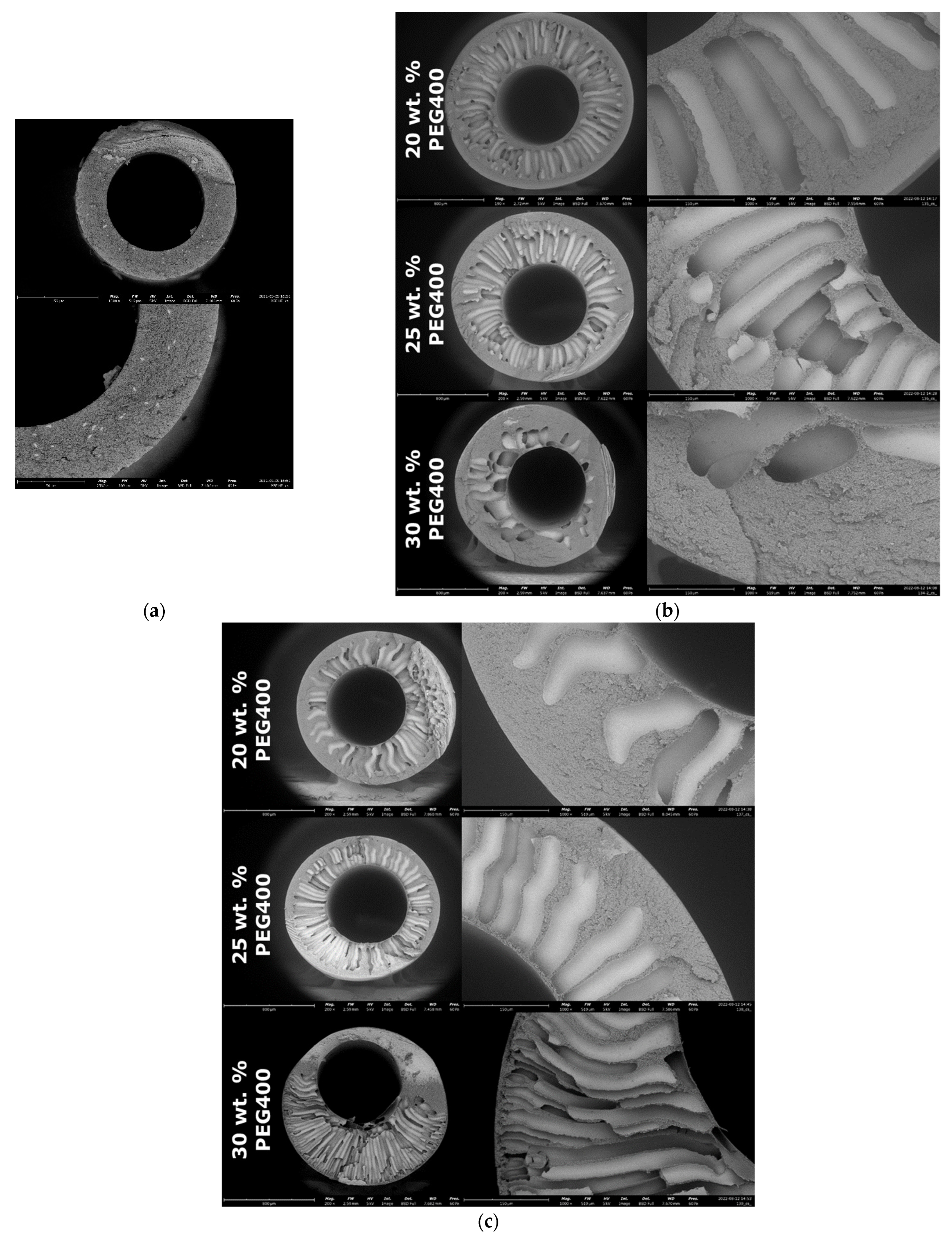 Membranes 12 01113 g007