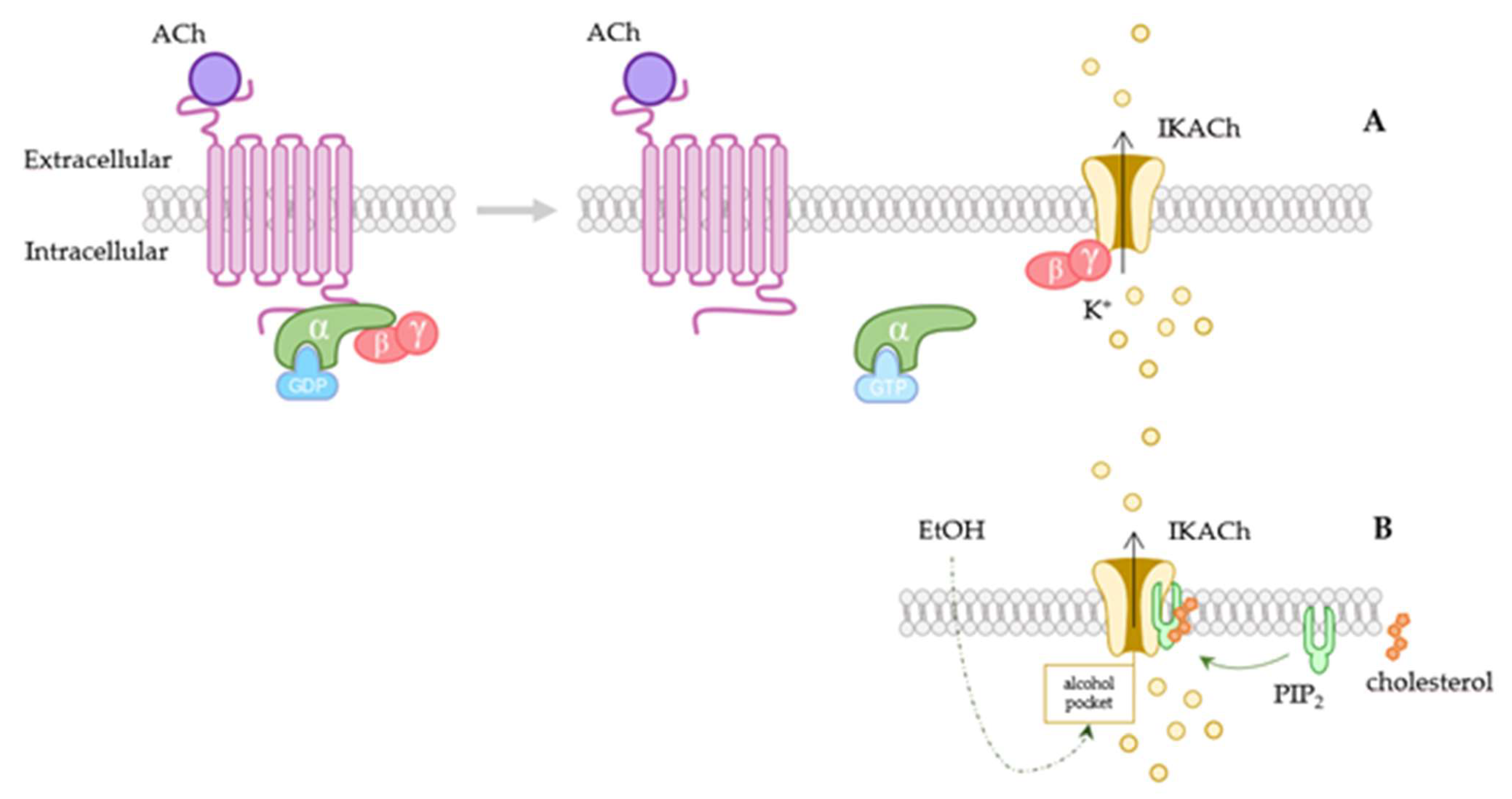 Membranes 12 01119 g001