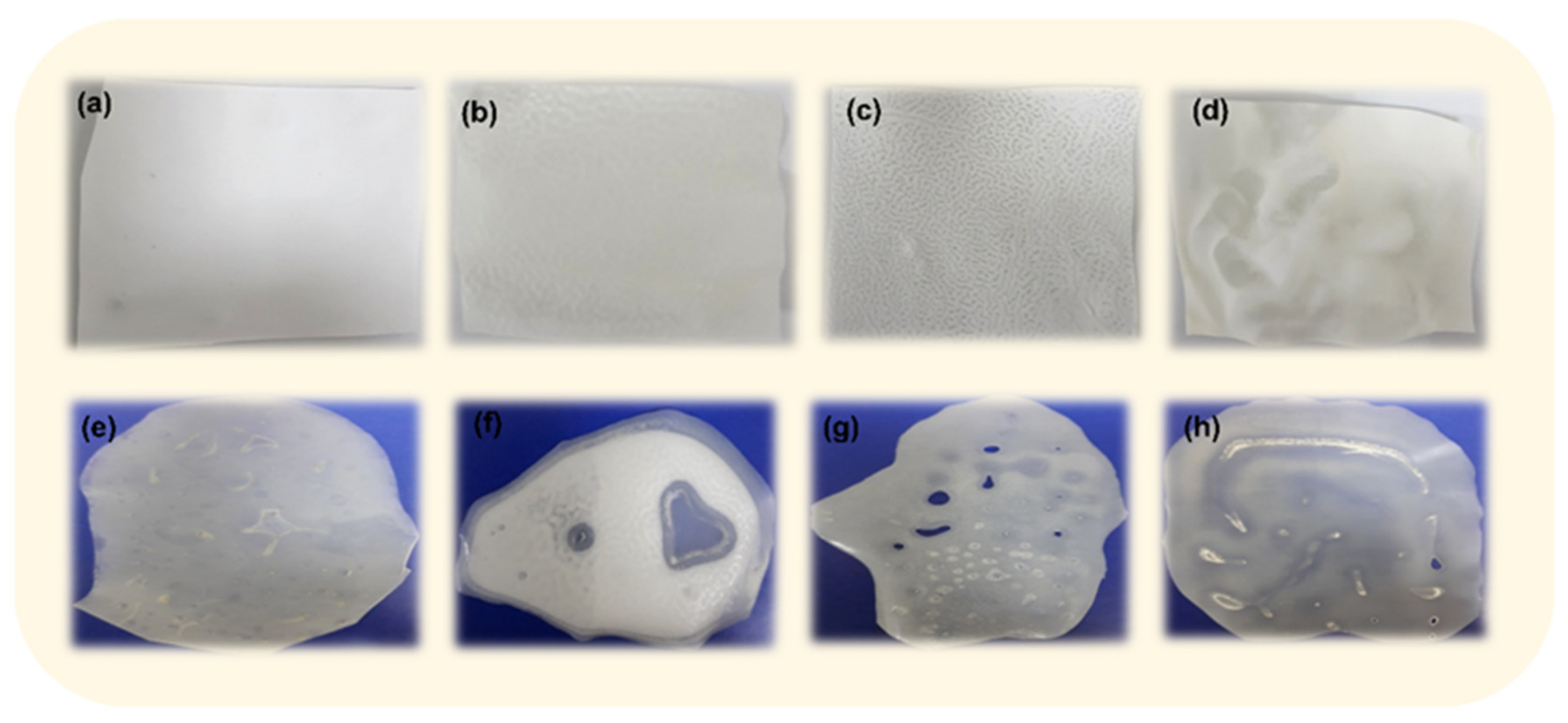 Membranes 12 01127 g002 Membranes 12 01127 g002