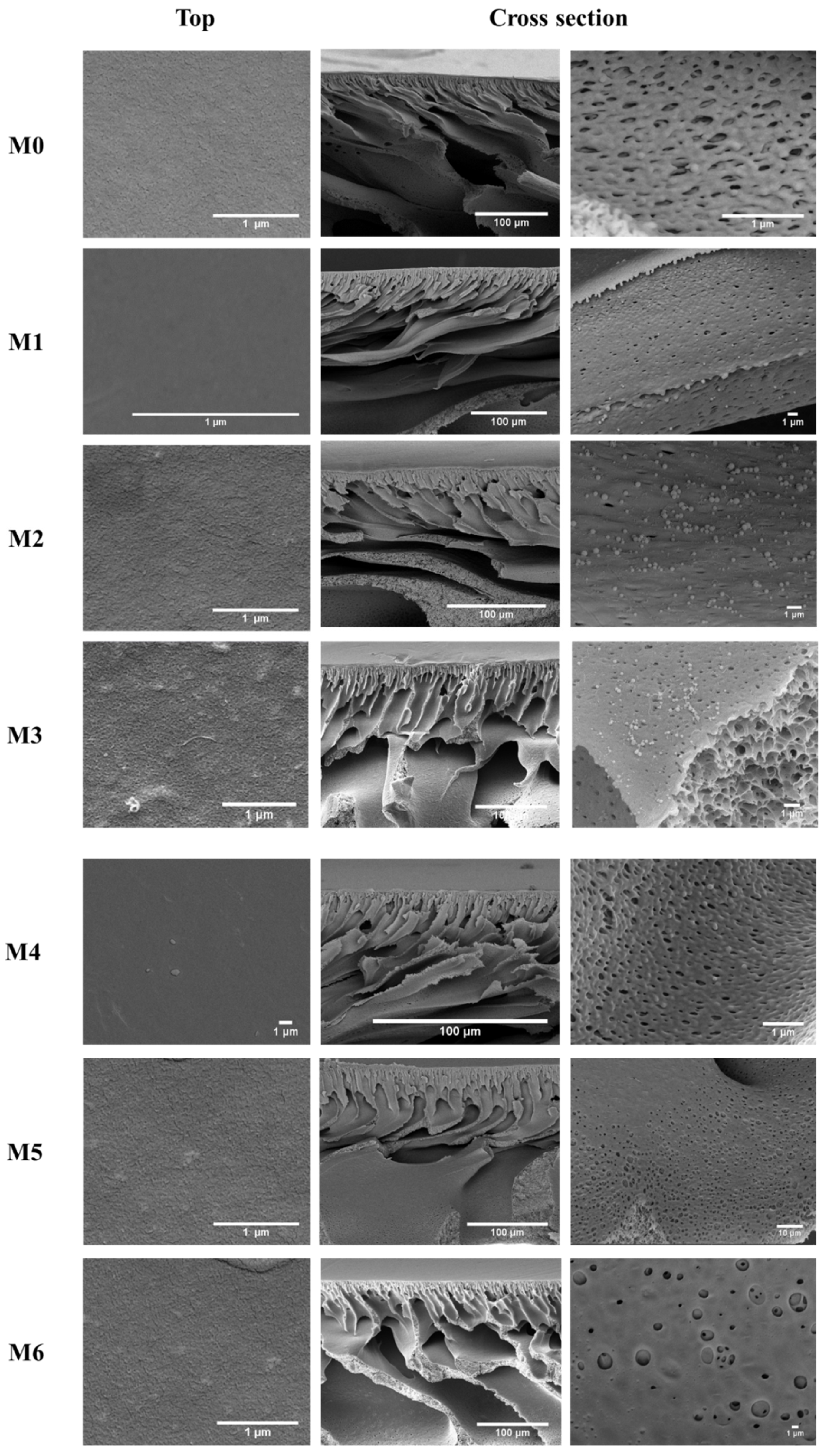 Membranes 12 01143 g004 Membranes 12 01143 g004