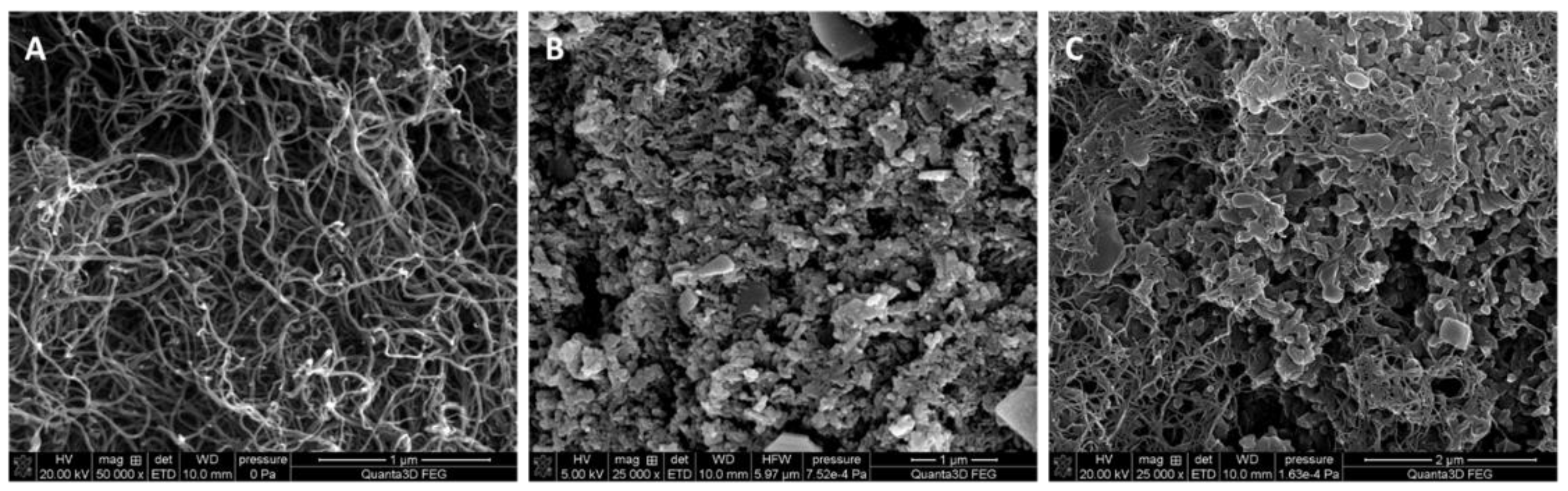 Membranes 12 01150 g001 Membranes 12 01150 g001