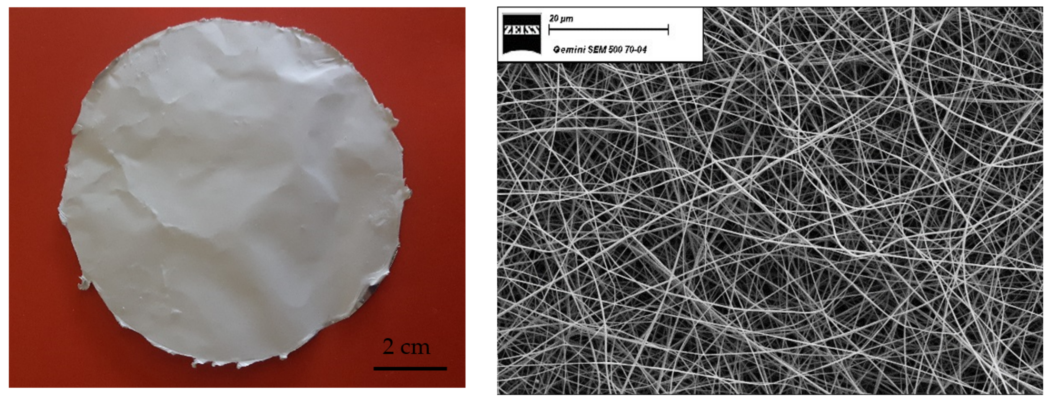 Membranes 12 01159 g001