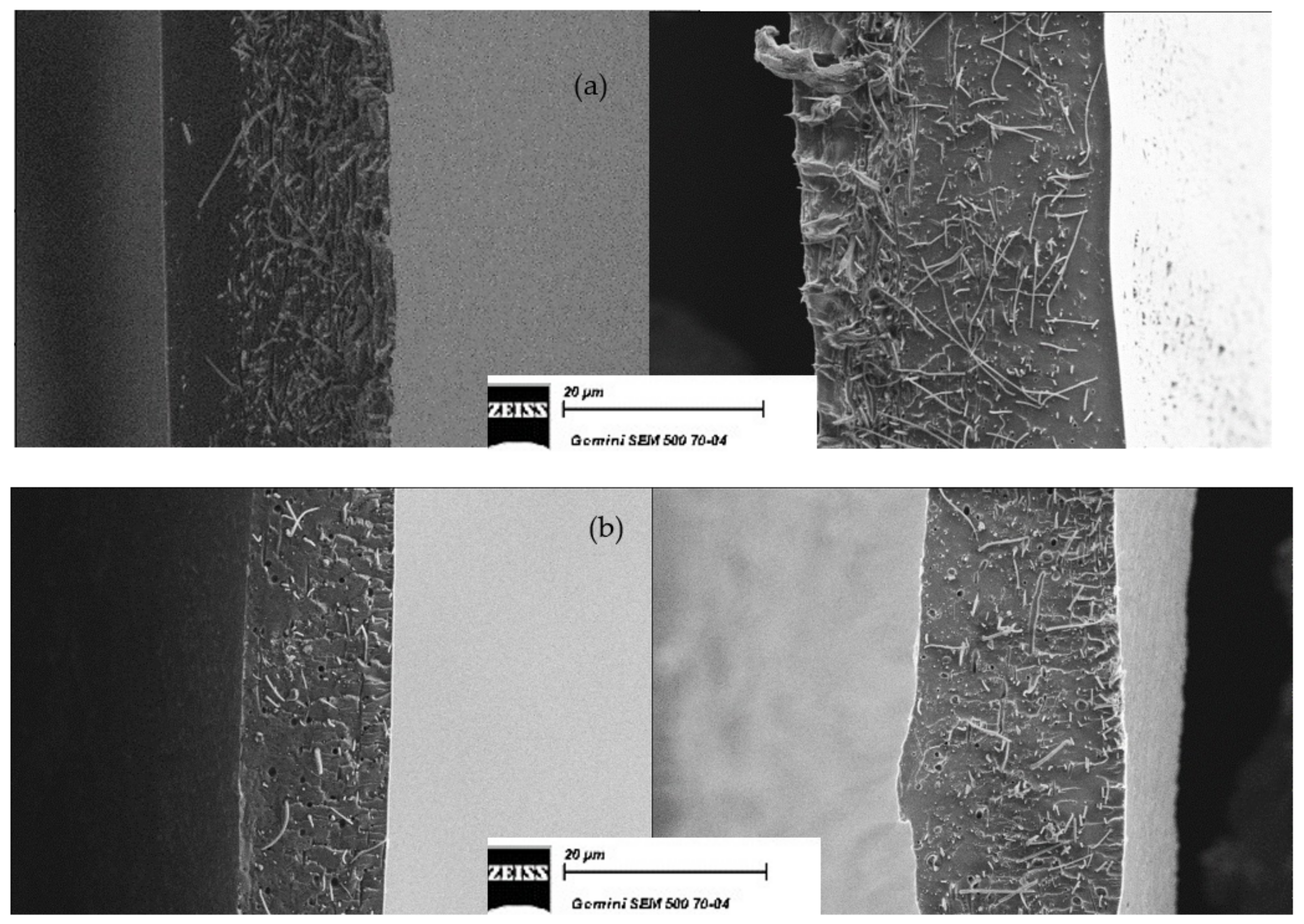 Membranes 12 01159 g003