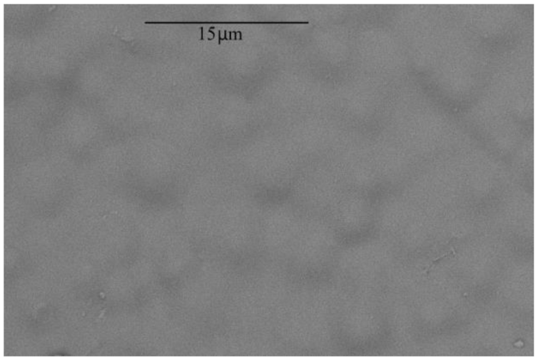 Membranes 12 01160 i009