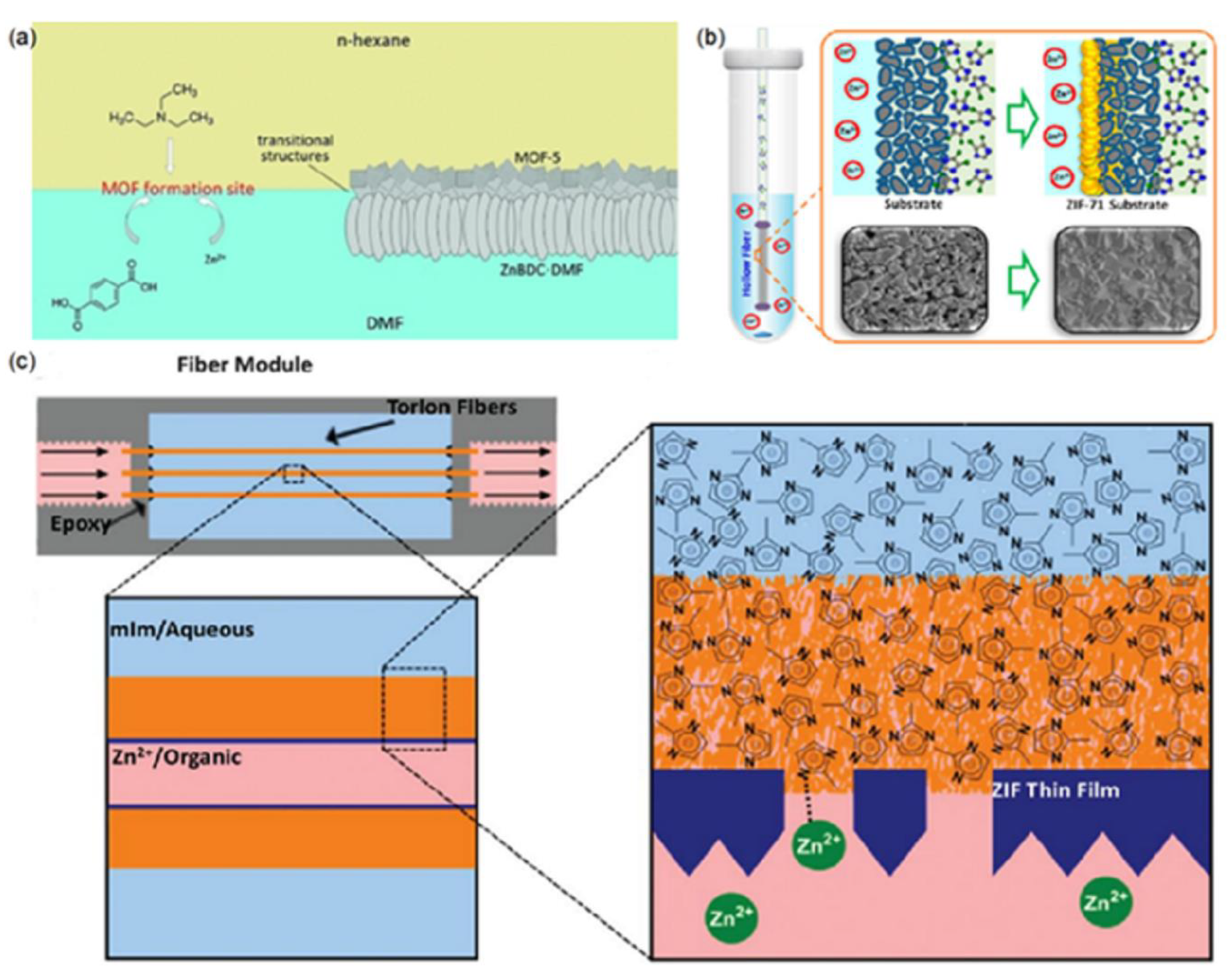 Membranes 12 01205 g003