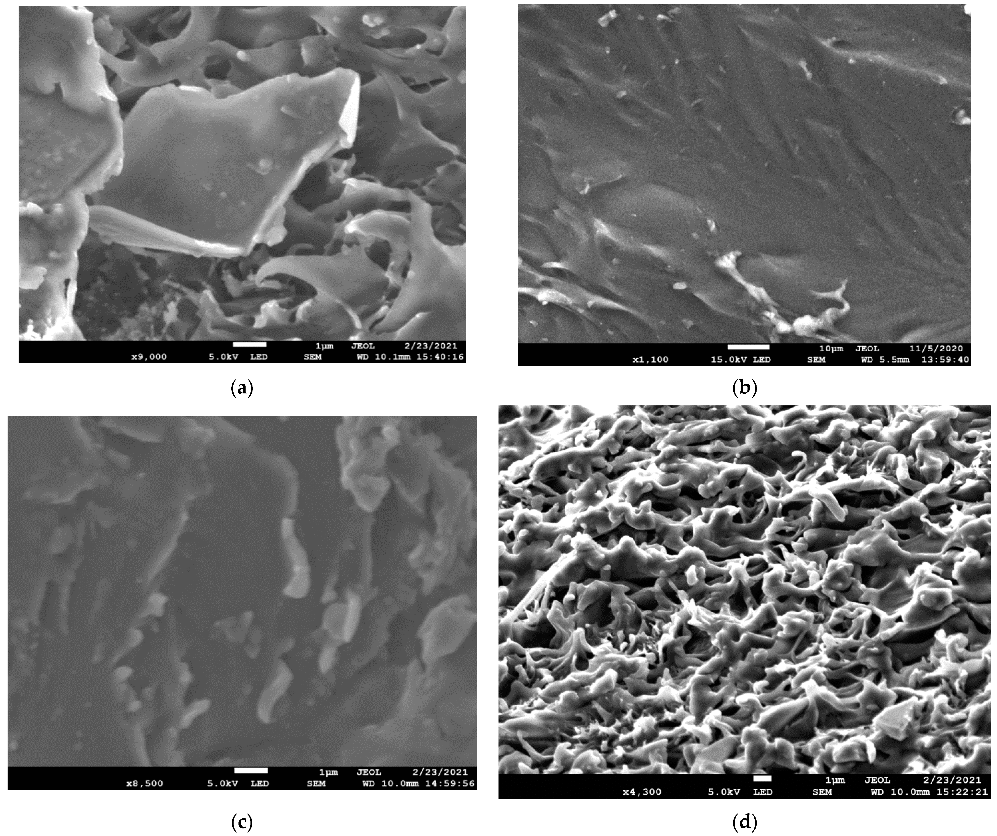 Membranes 12 01227 g002