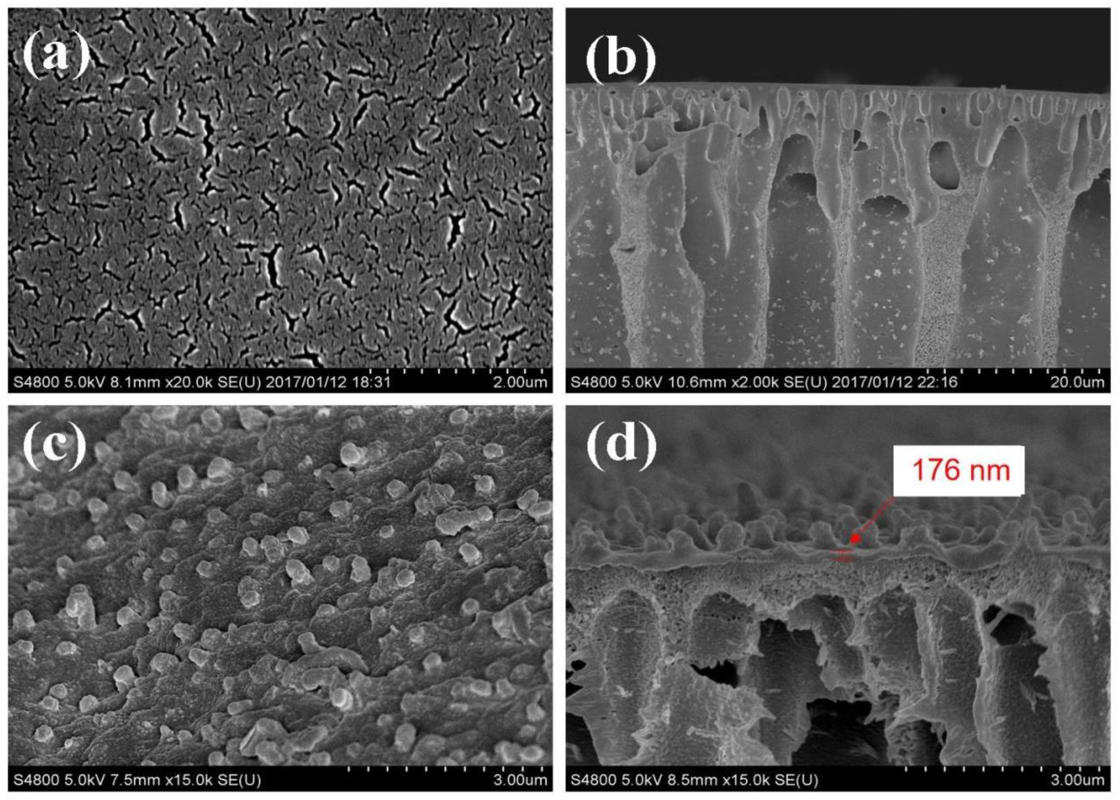 Membranes 12 01258 g003 Membranes 12 01258 g003