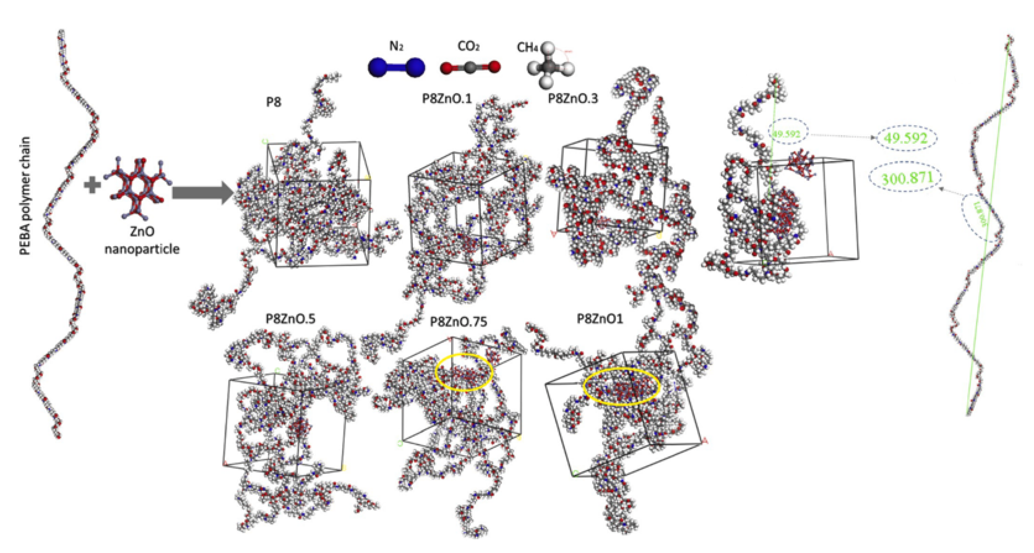 Membranes | Free Full-Text | A Review On The Morphology And Material ...