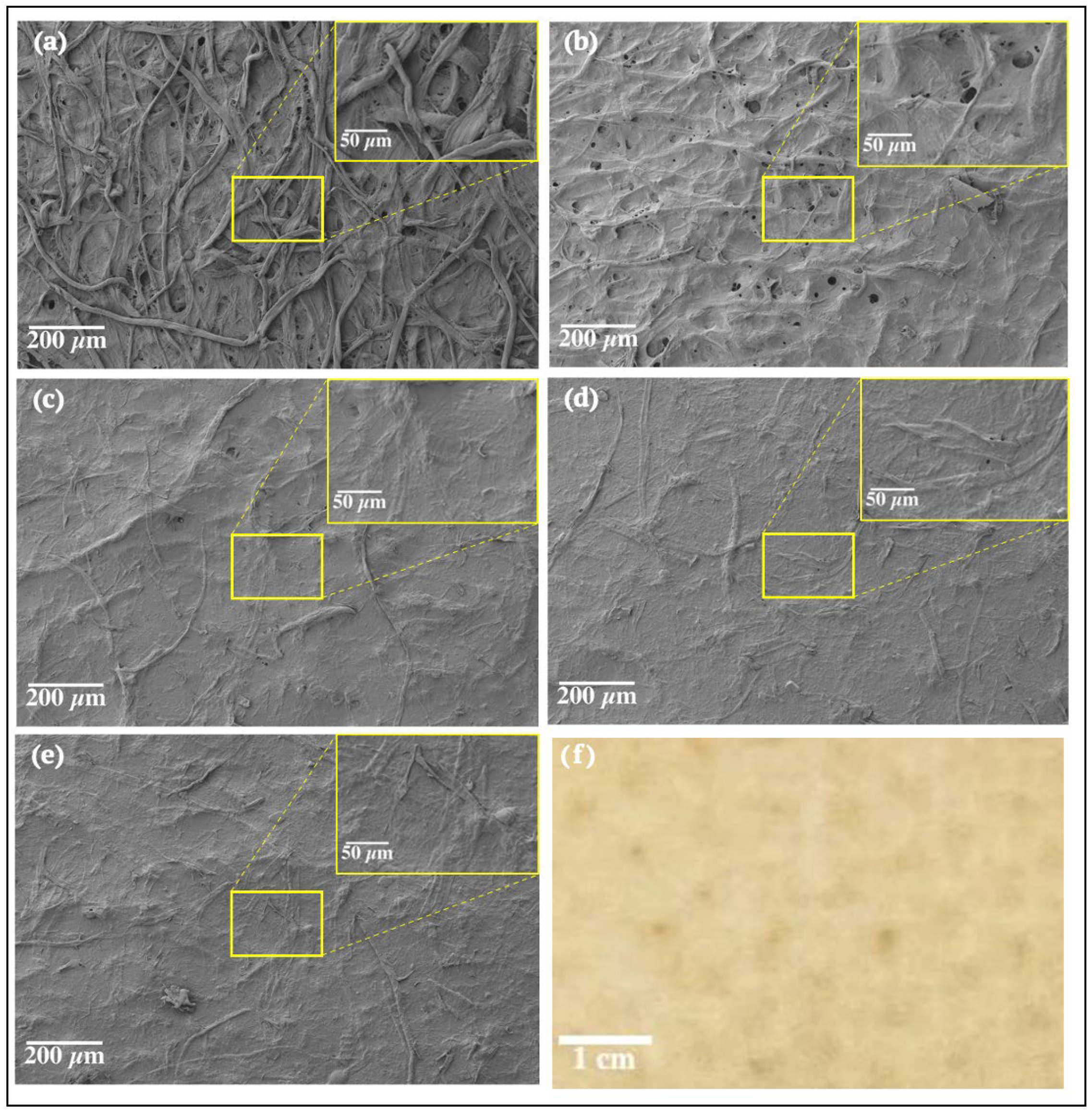 Membranes 13 00001 g008
