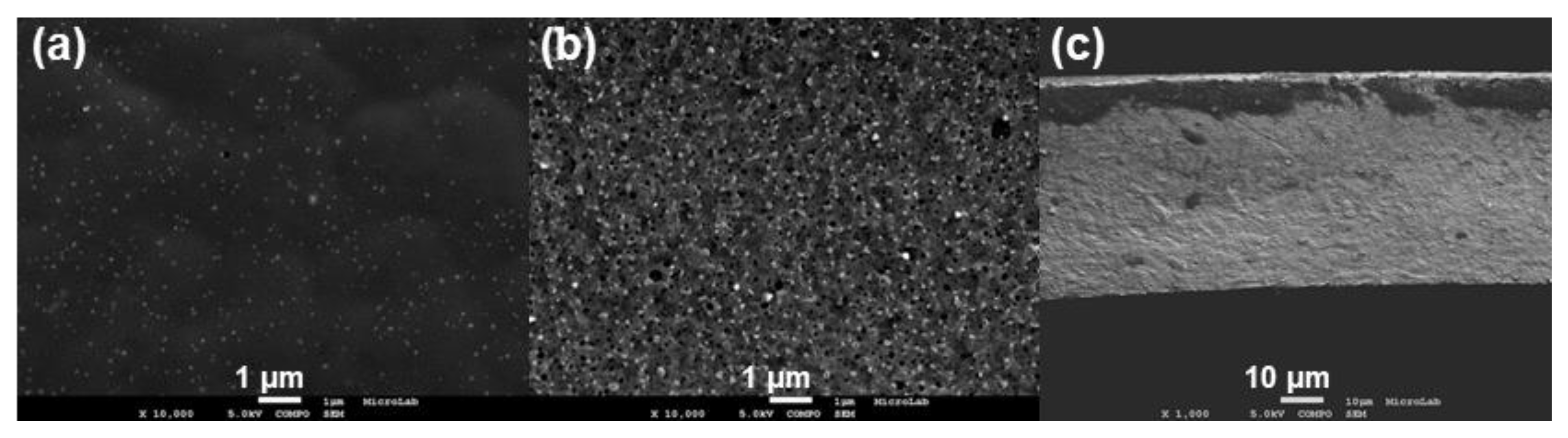 Membranes 13 00004 g009
