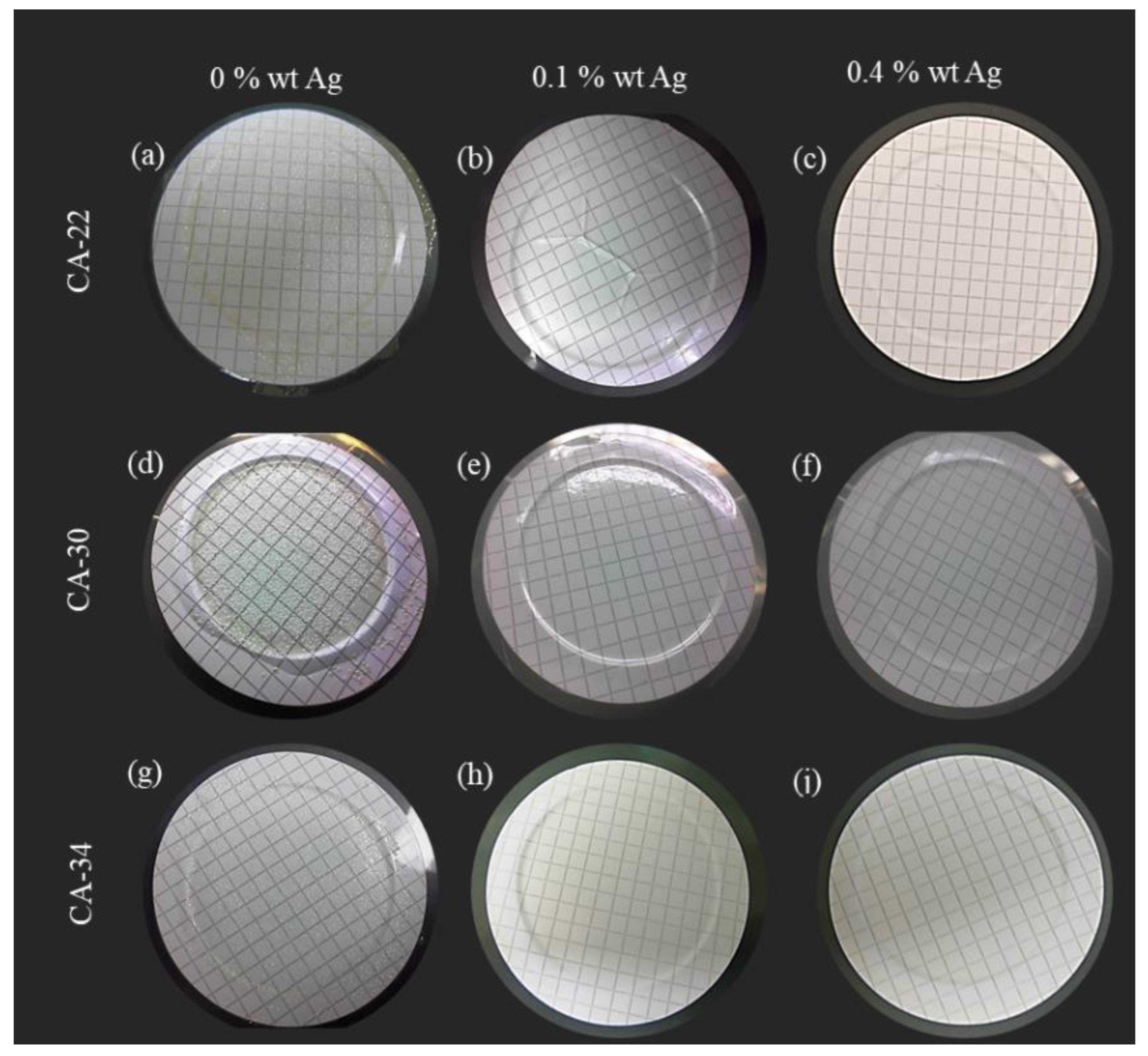 Membranes 13 00004 g013