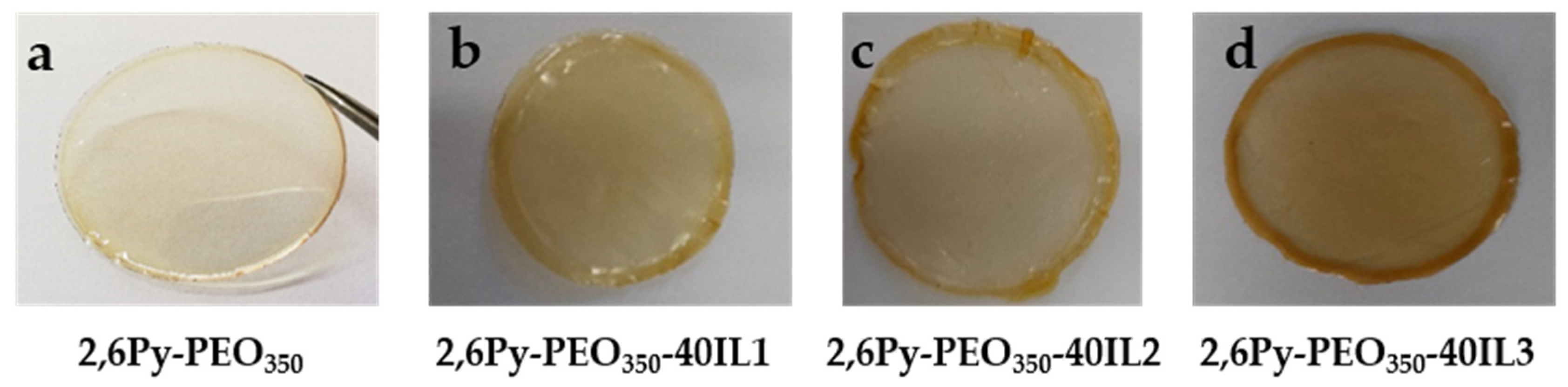 Membranes 13 00026 g001