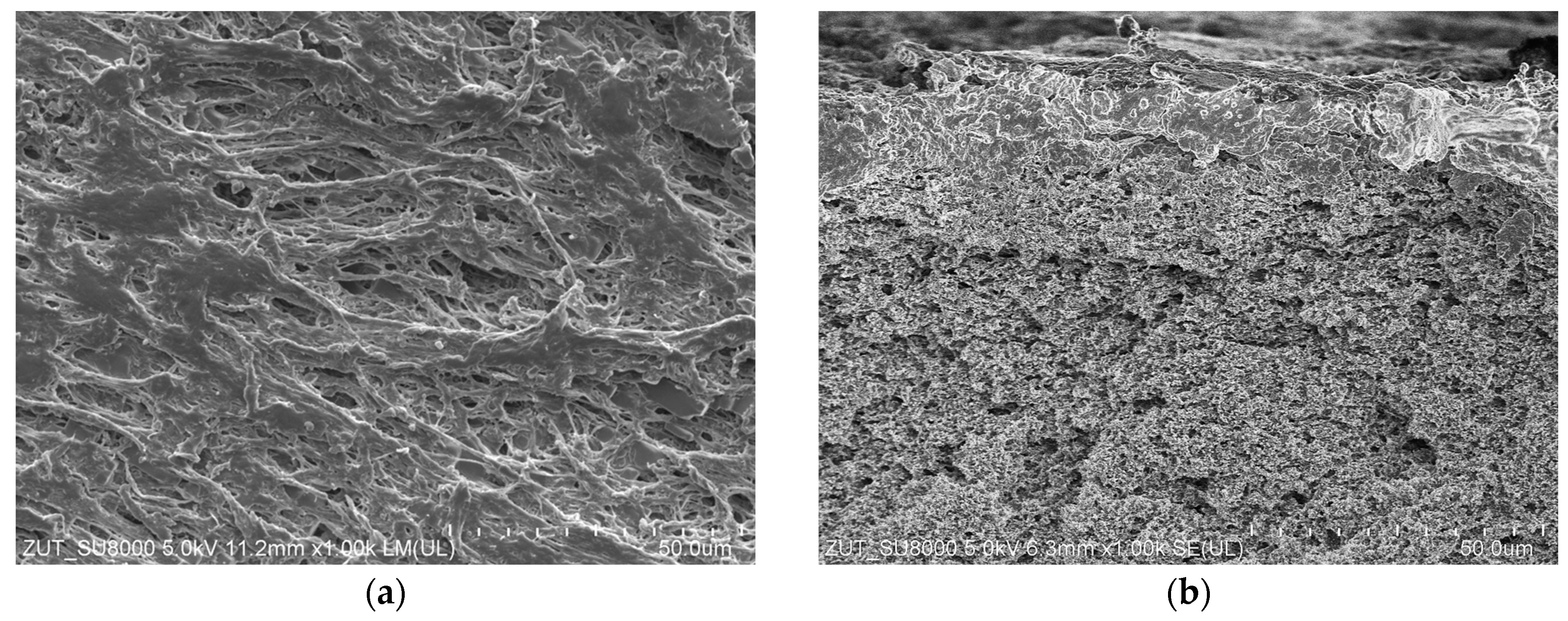 Membranes 13 00035 g004a