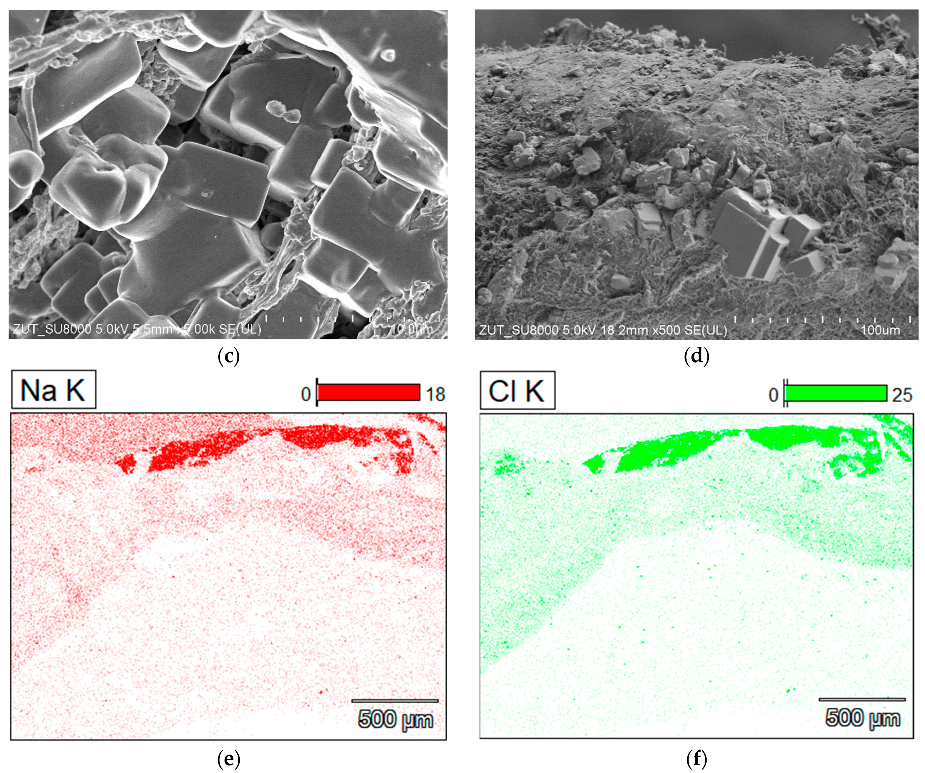Membranes 13 00035 g004b