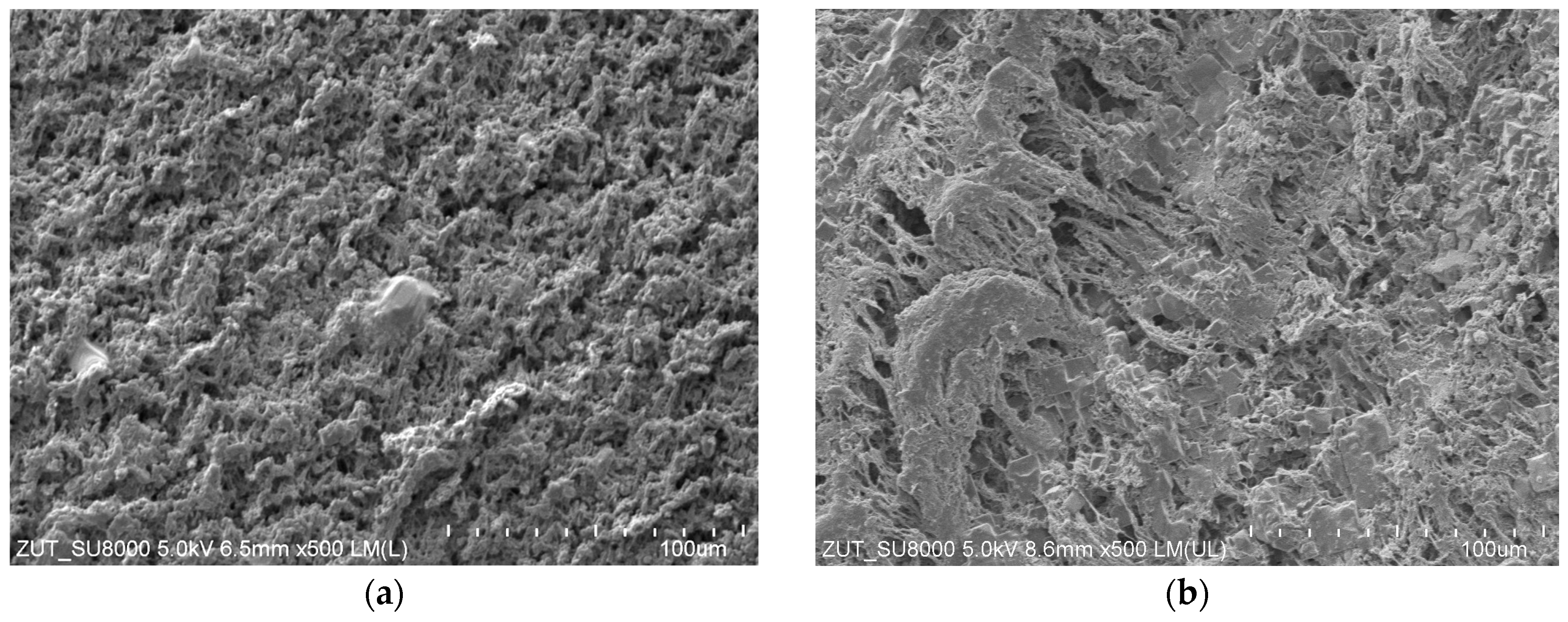 Membranes 13 00035 g008