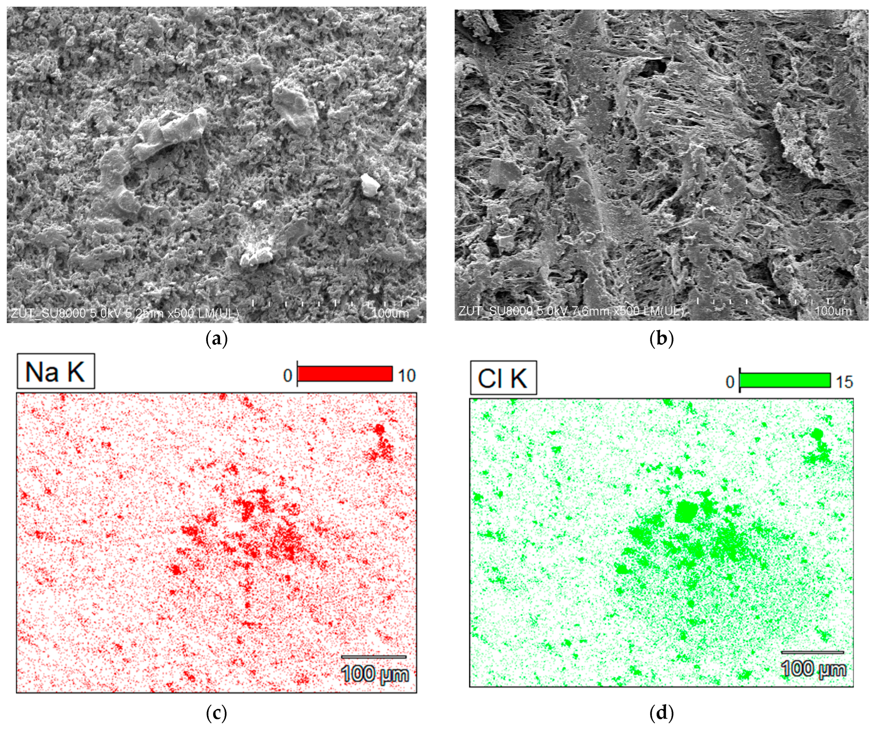 Membranes 13 00035 g011