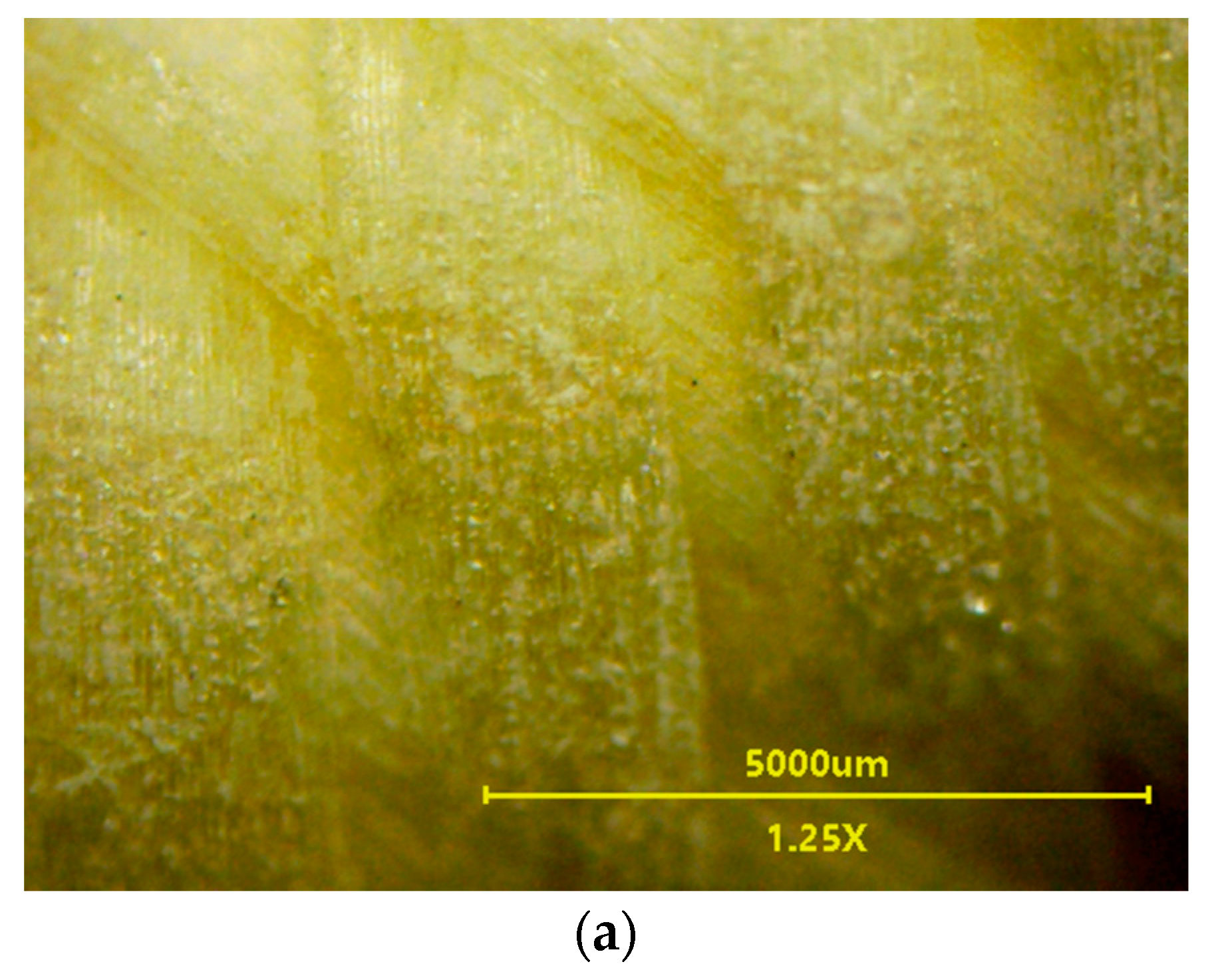 Membranes 13 00035 g012a