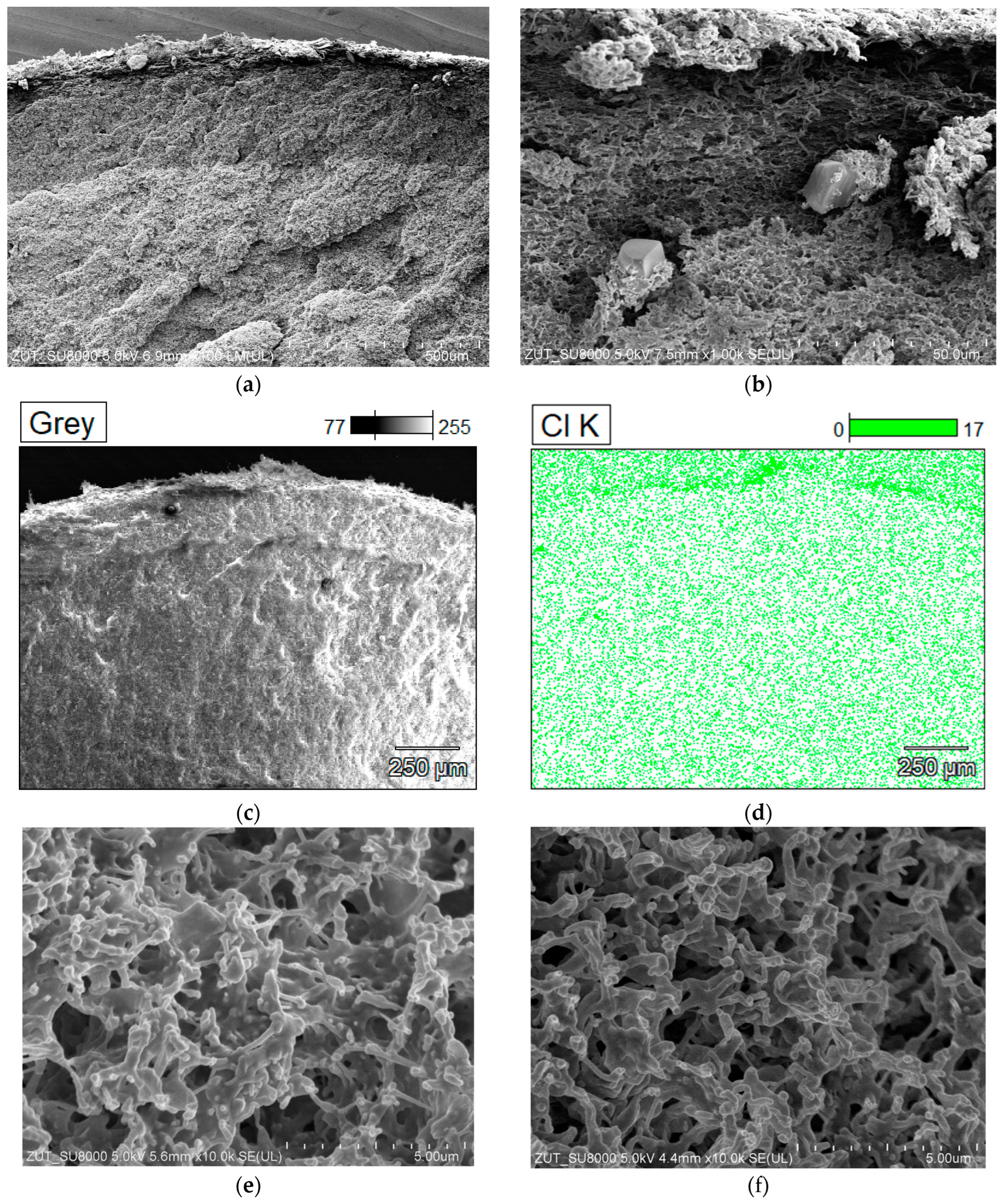 Membranes 13 00035 g013