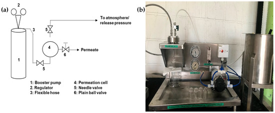 Membranes Free Full Text A Comparison Between Various Polymeric Membranes For Oily 