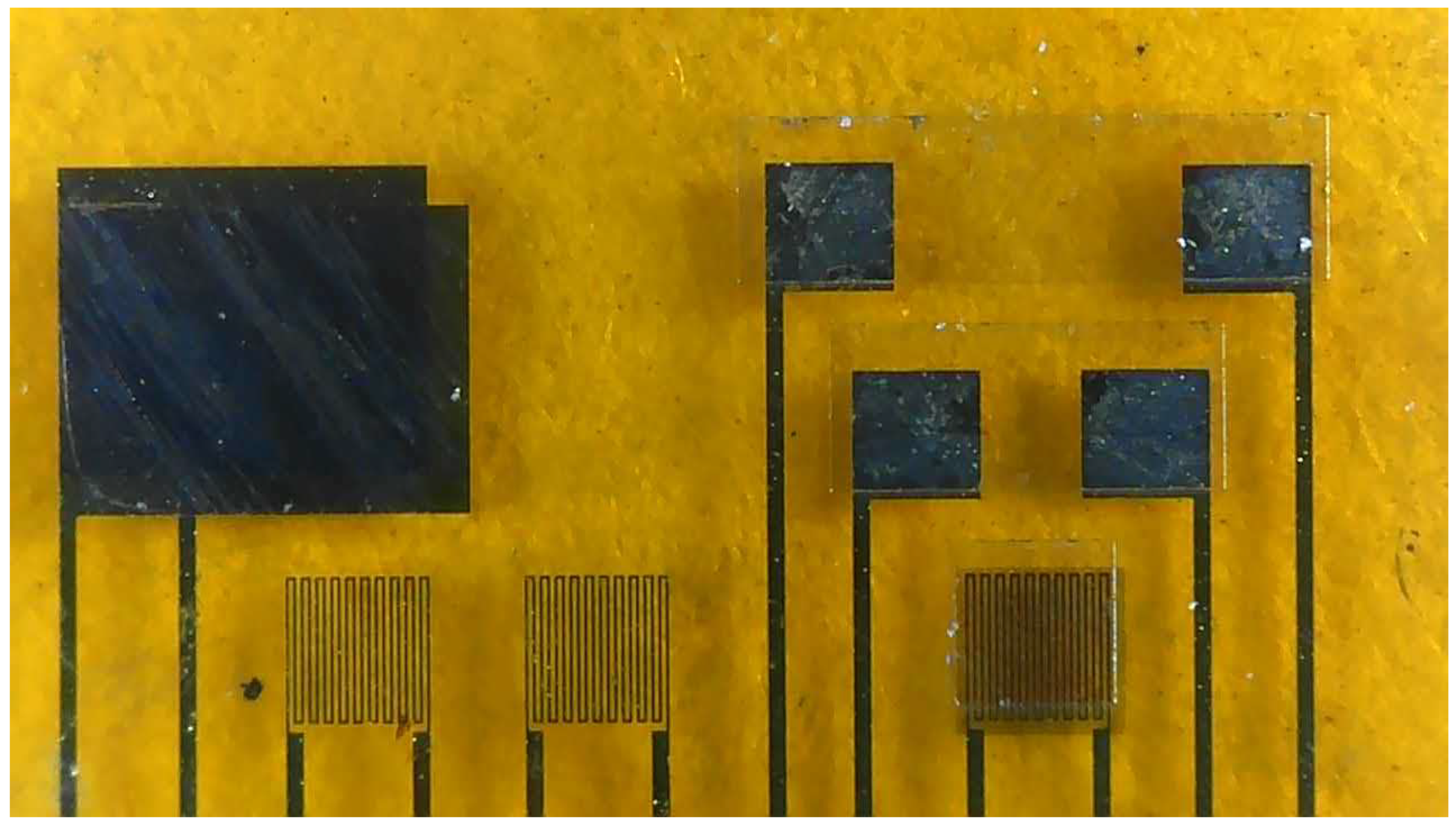 Membranes 13 00049 g002