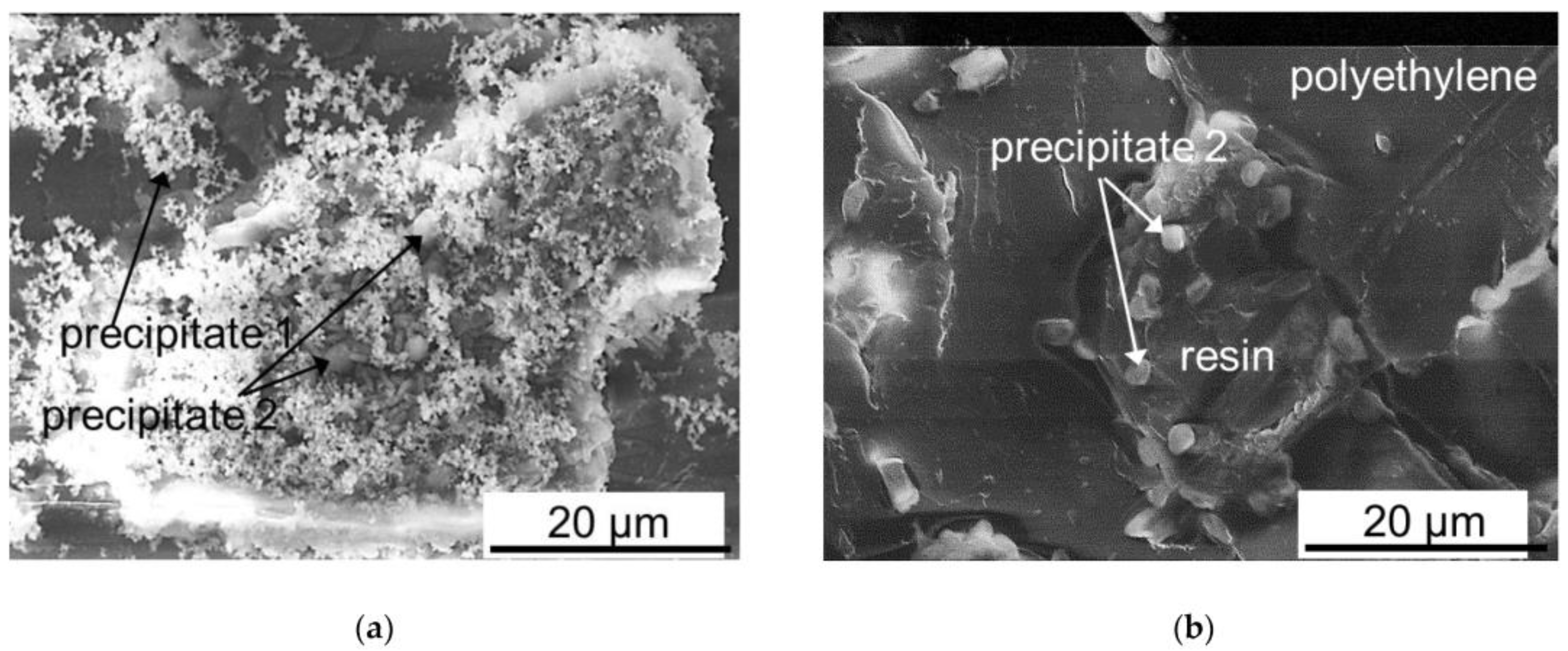 Membranes 13 00052 g010 Membranes 13 00052 g010