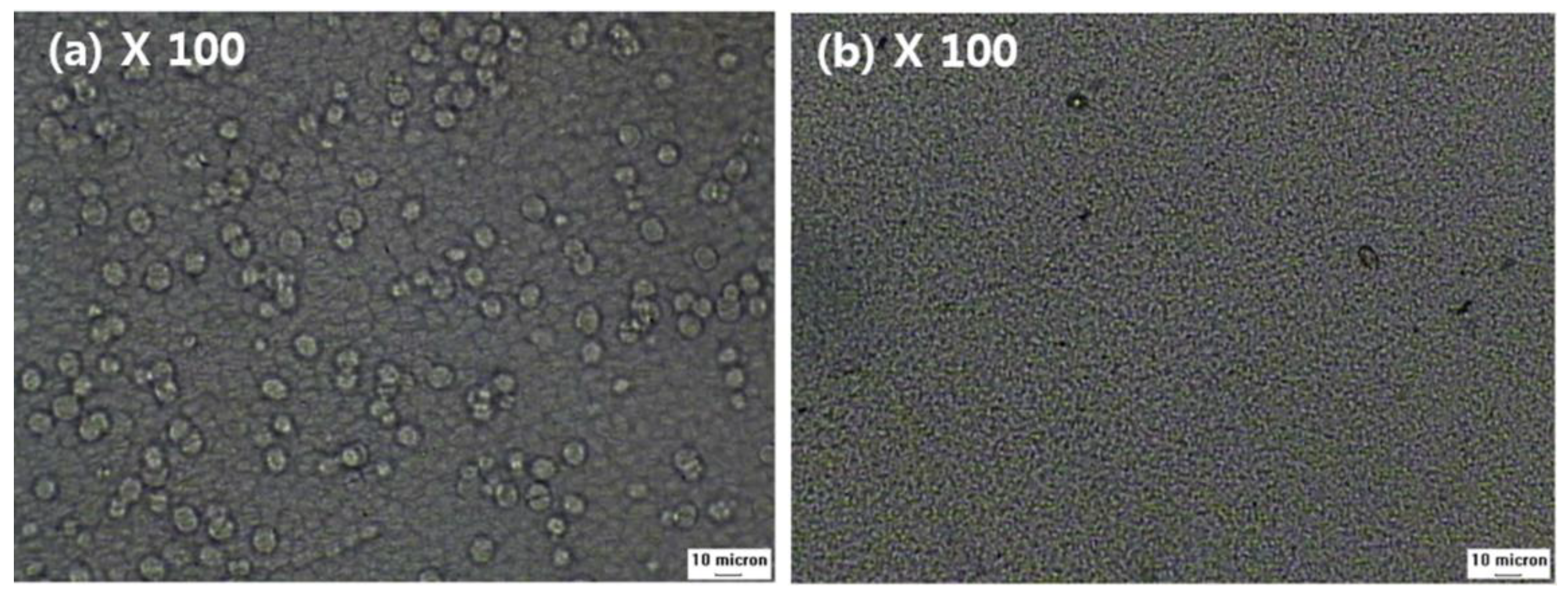 Membranes 13 00075 g006