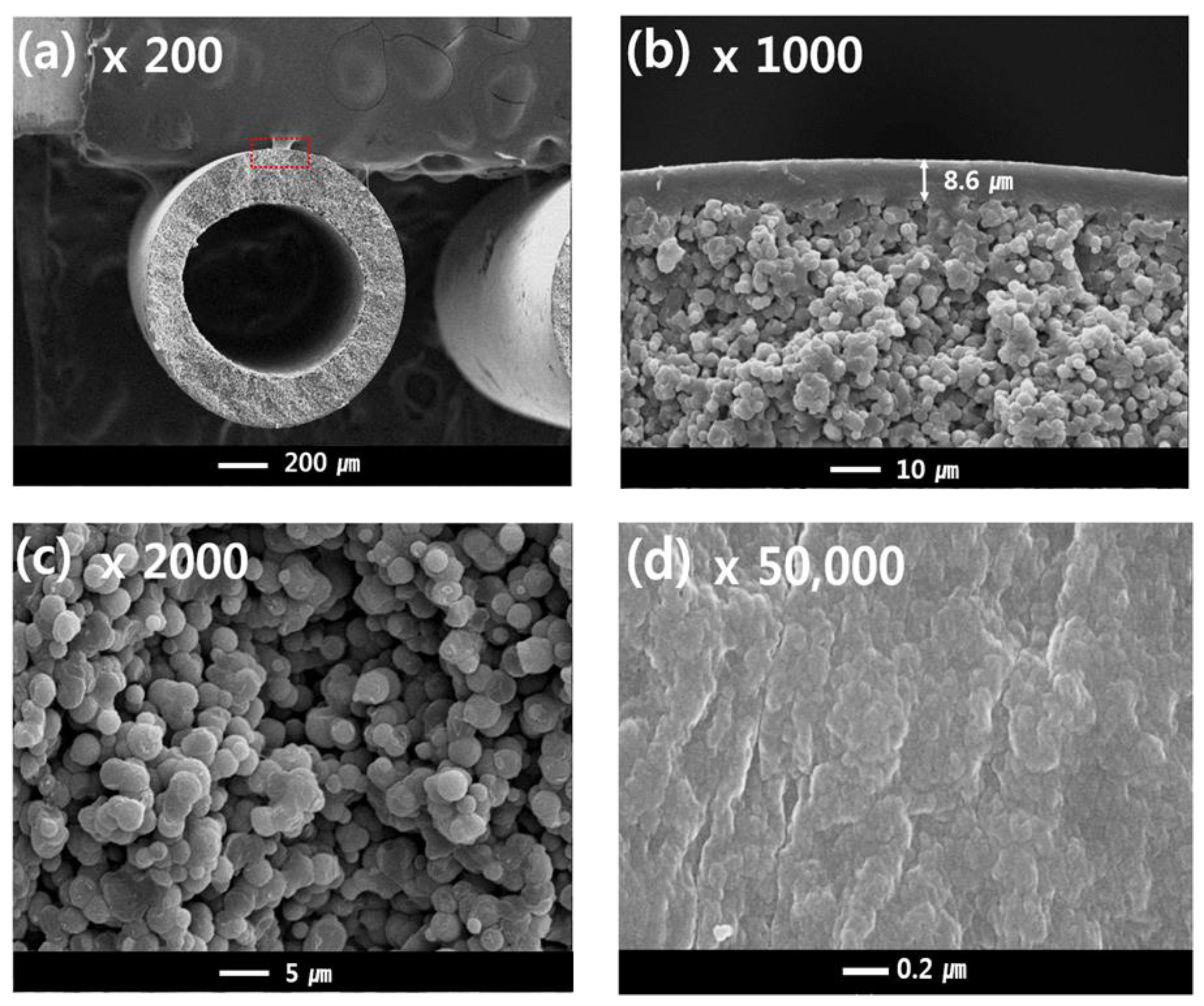 Membranes 13 00075 g007