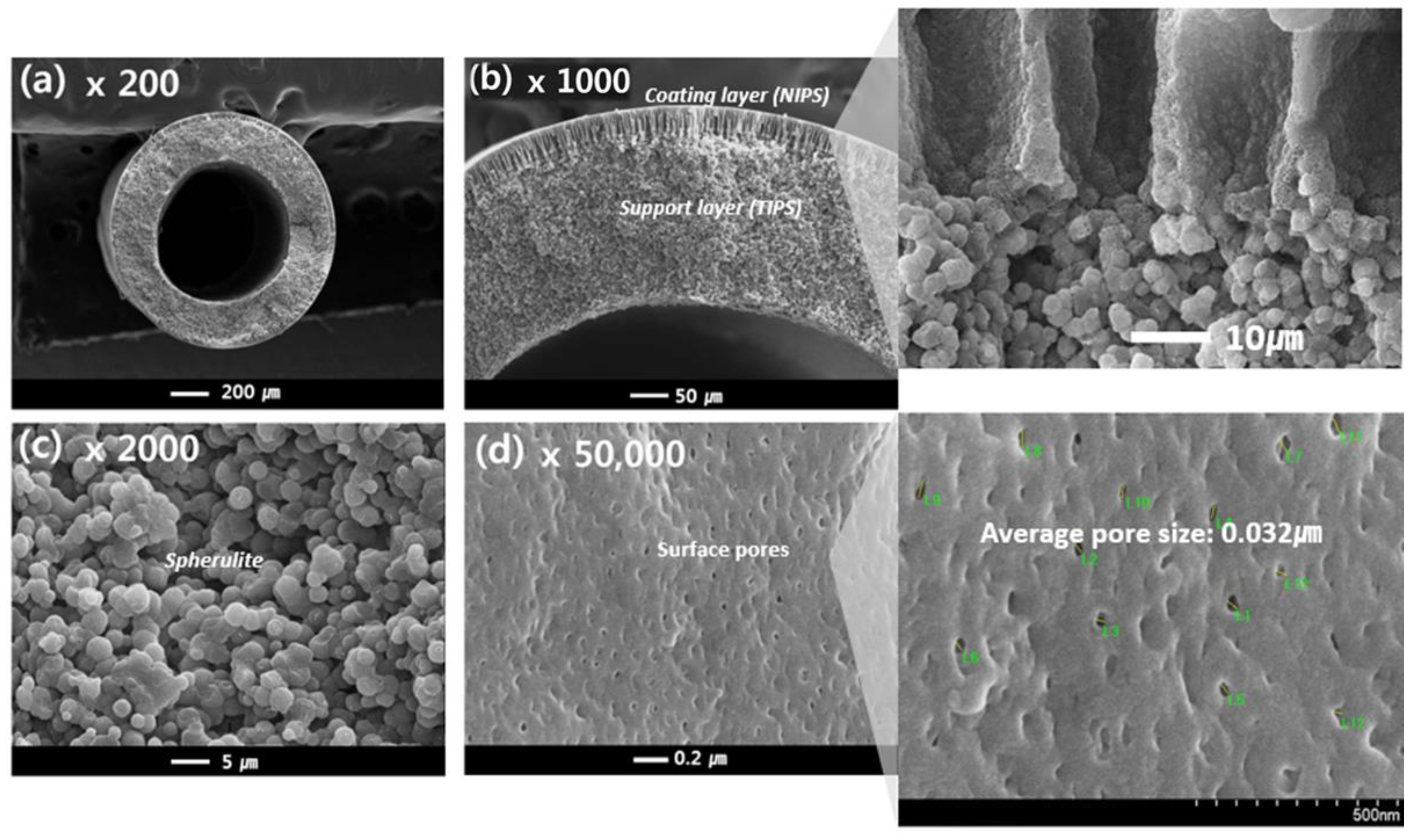 Membranes 13 00075 g008