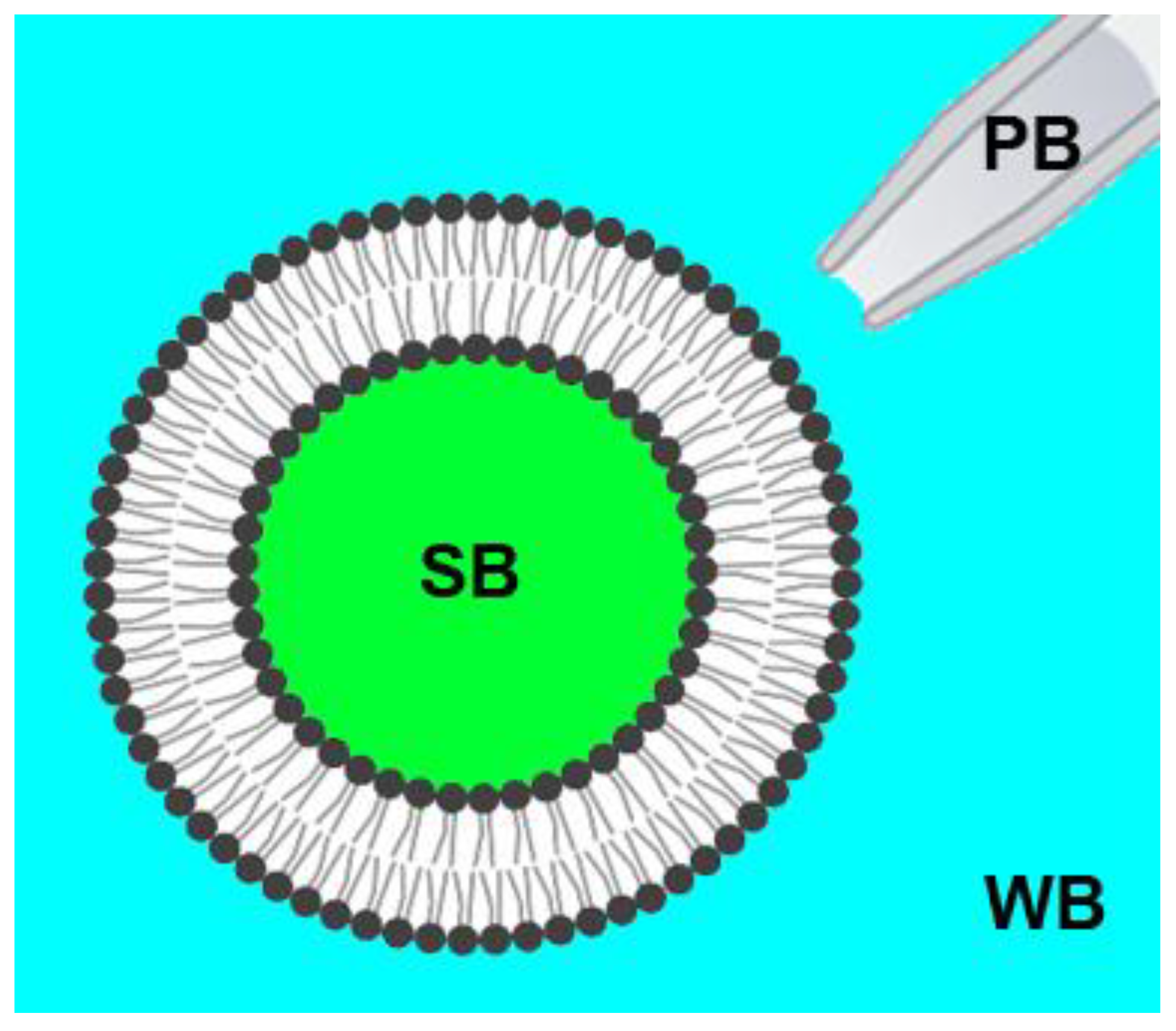 Membranes 13 00076 g001 Membranes 13 00076 g001