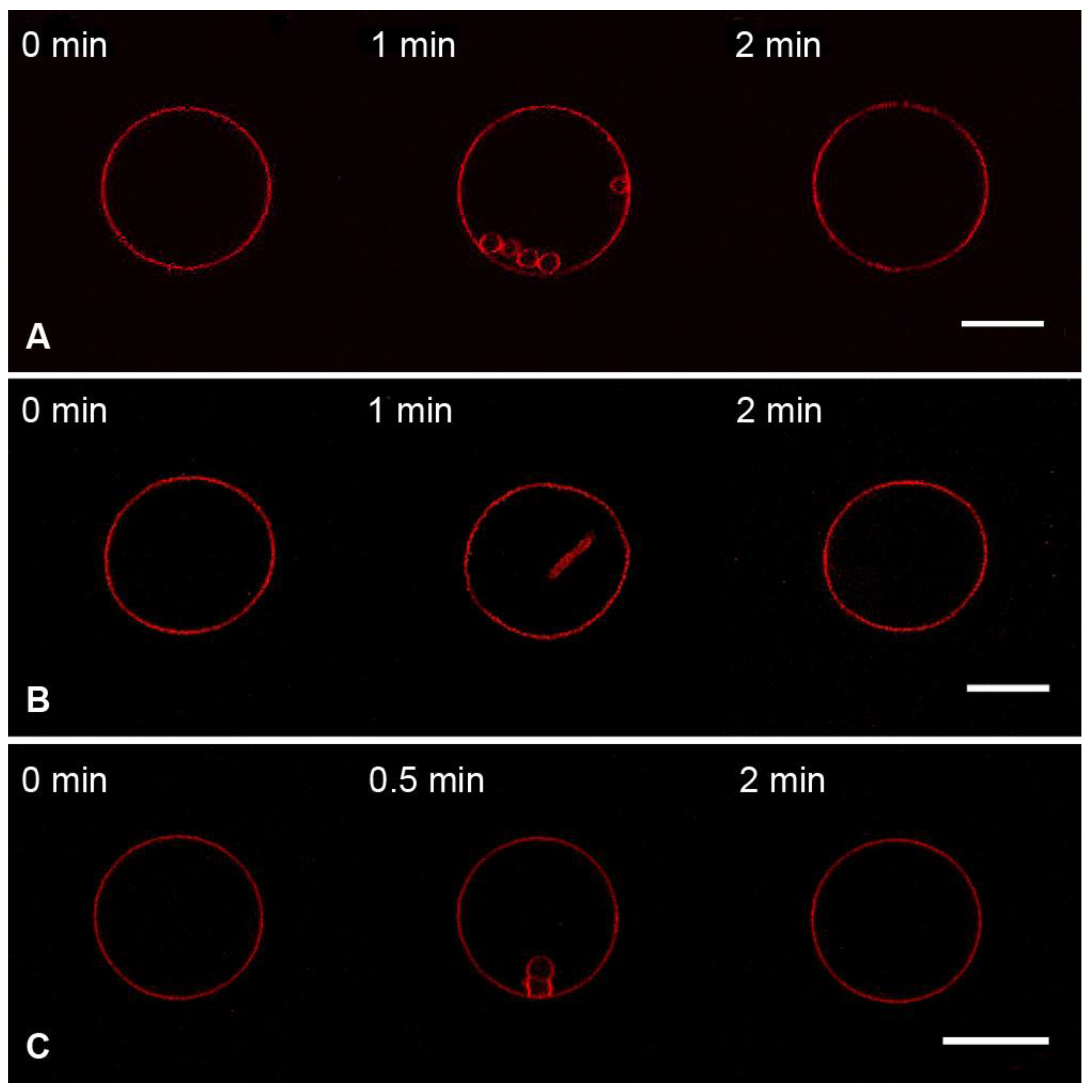 Membranes 13 00076 g005 Membranes 13 00076 g005
