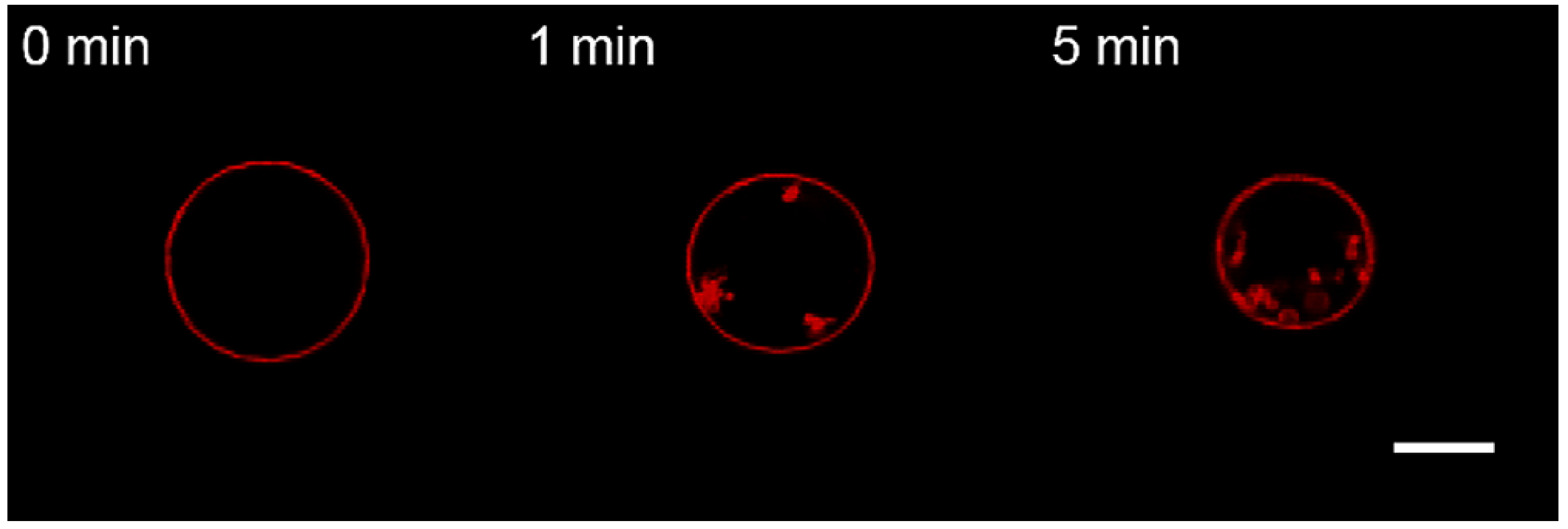 Membranes 13 00076 g007 Membranes 13 00076 g007