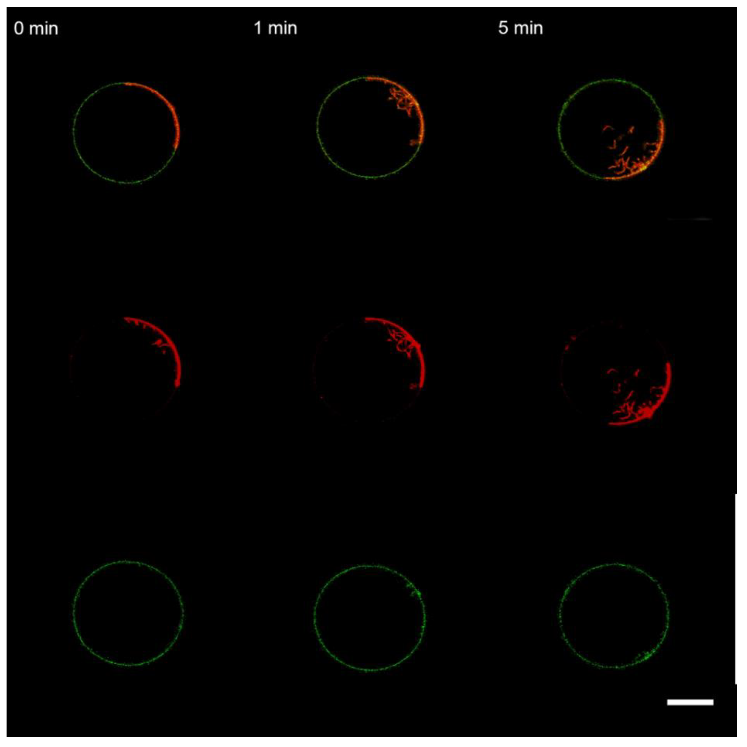 Membranes 13 00076 g010 Membranes 13 00076 g010