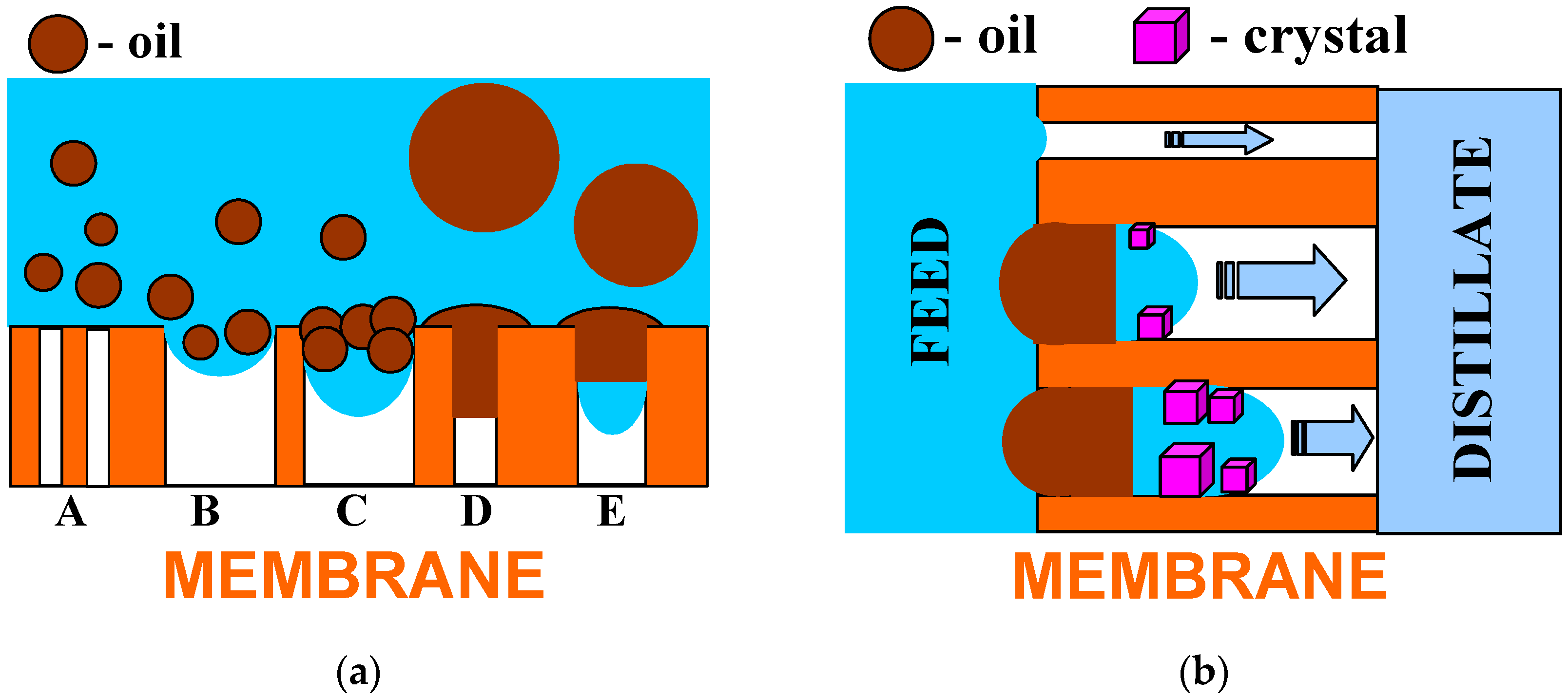 Membranes 13 00080 g014 Membranes 13 00080 g014