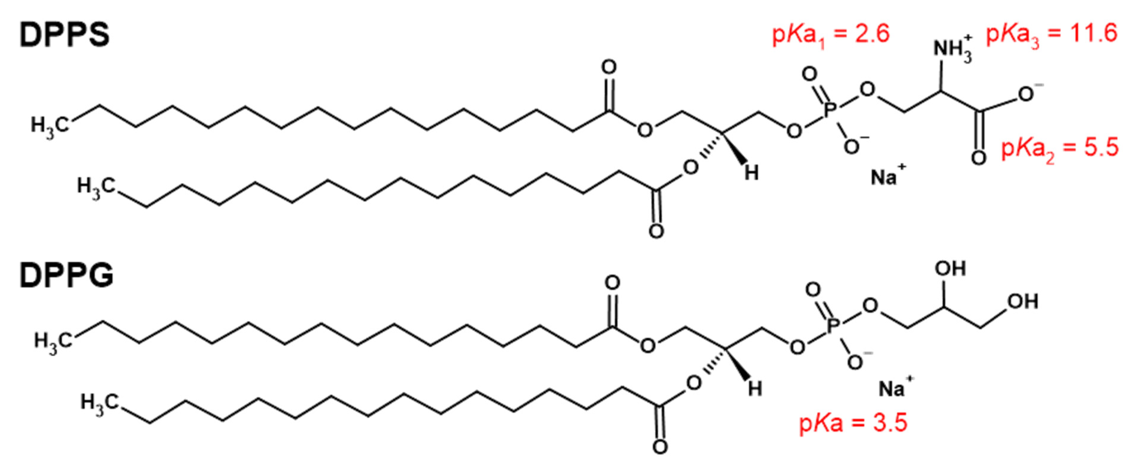 Membranes 13 00083 g001 Membranes 13 00083 g001