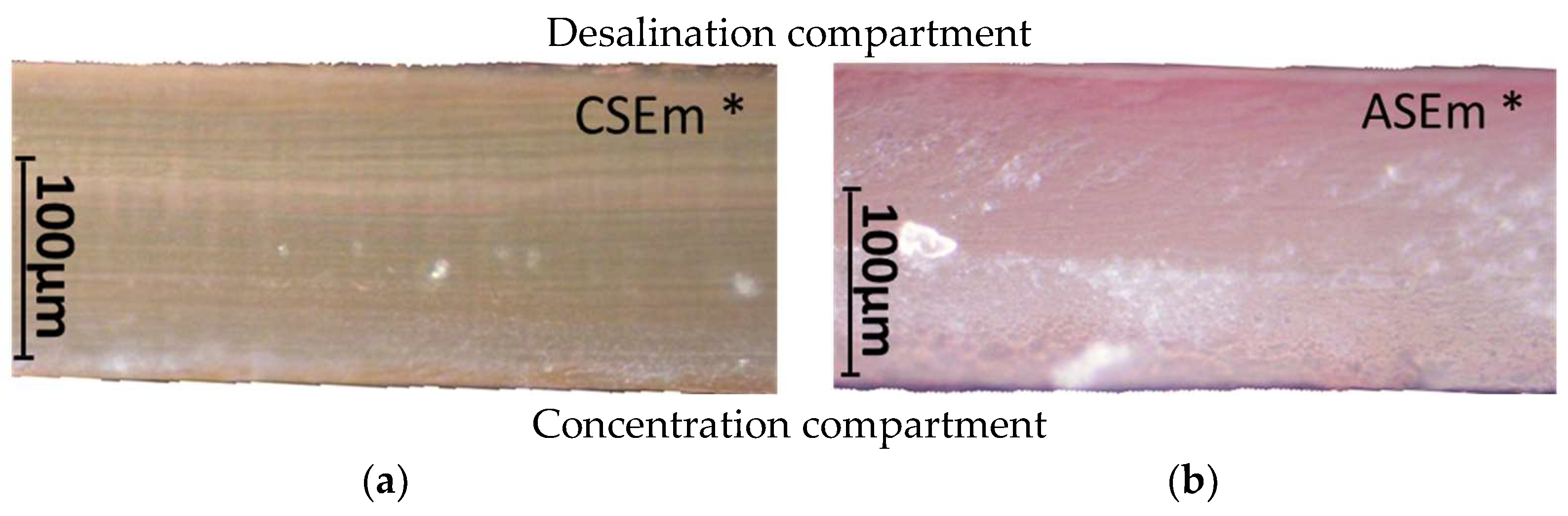 Membranes 13 00084 g011 Membranes 13 00084 g011